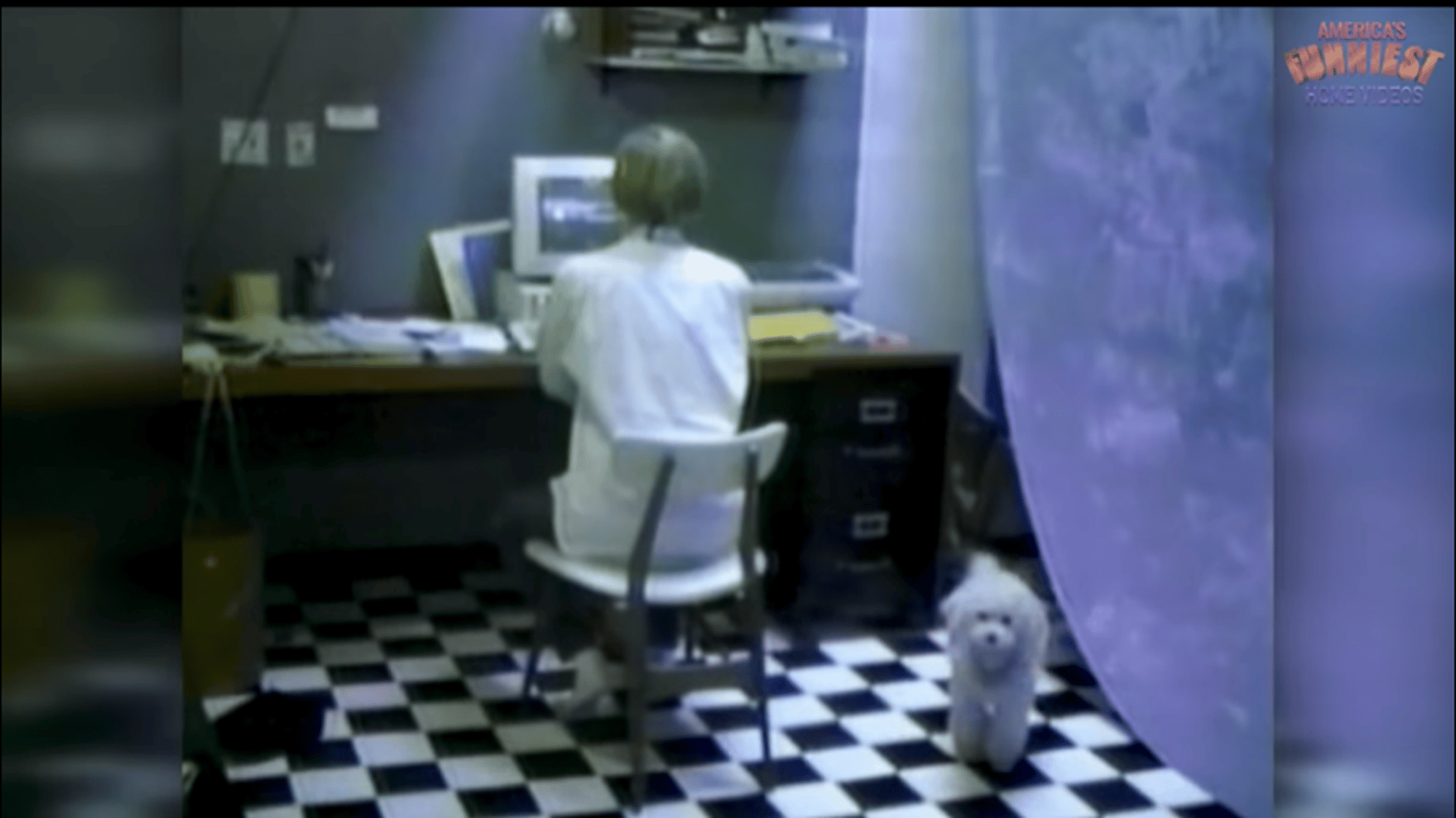 Boy