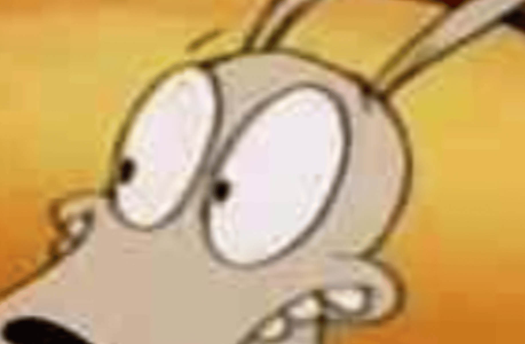 Rocko