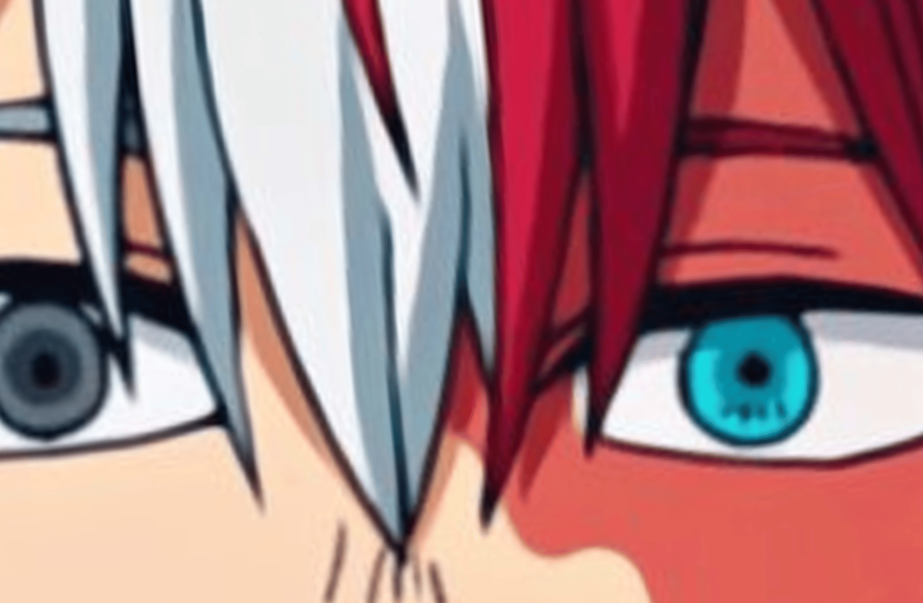 Shoto Todoroki (mha)
