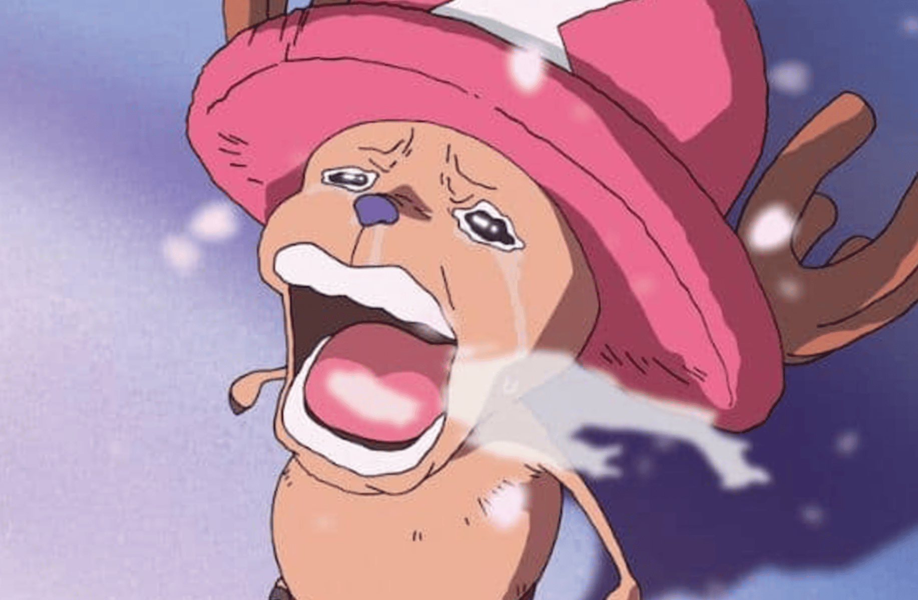 Tony tony chopper