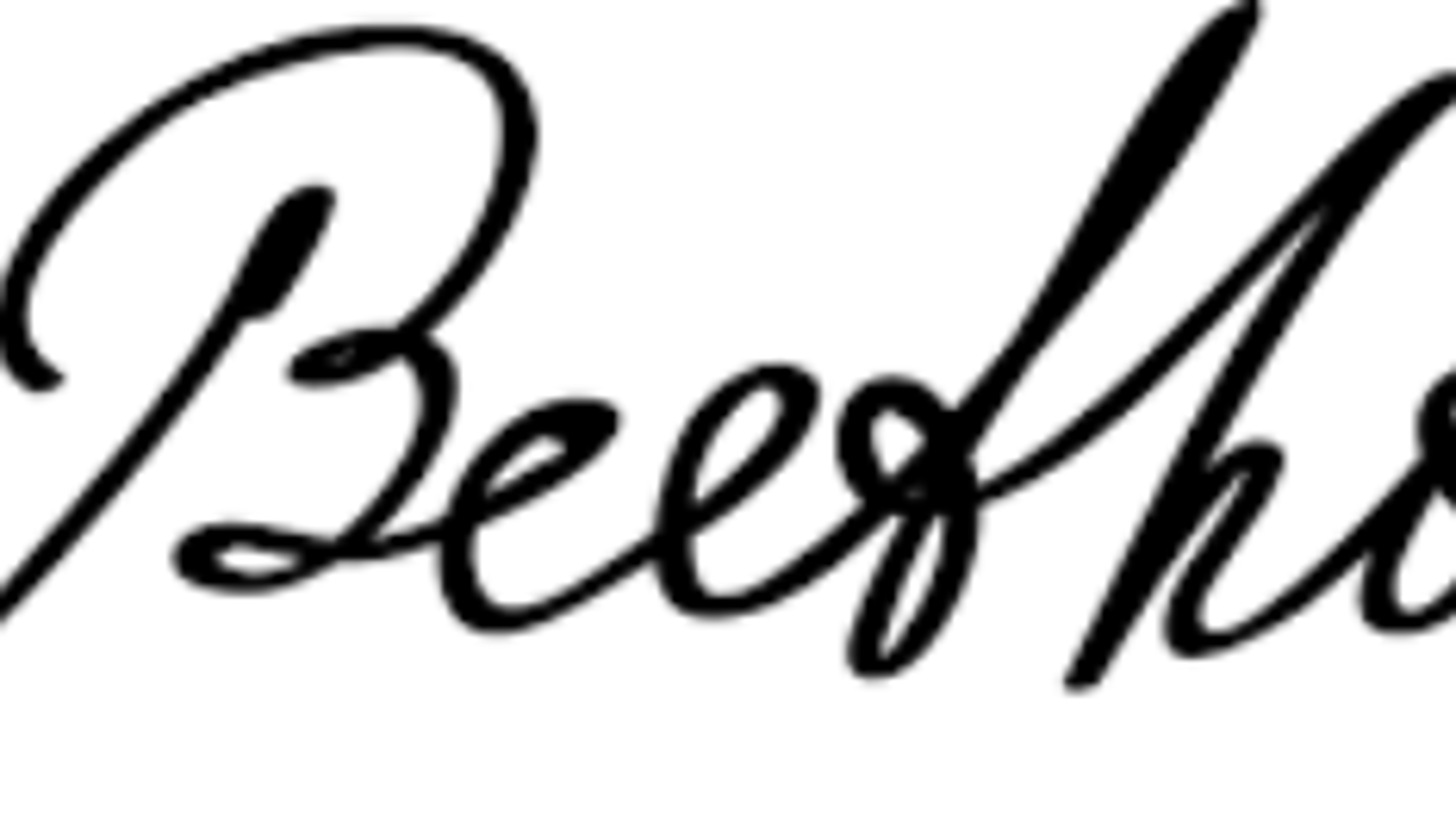 Ludwig van Beethoven