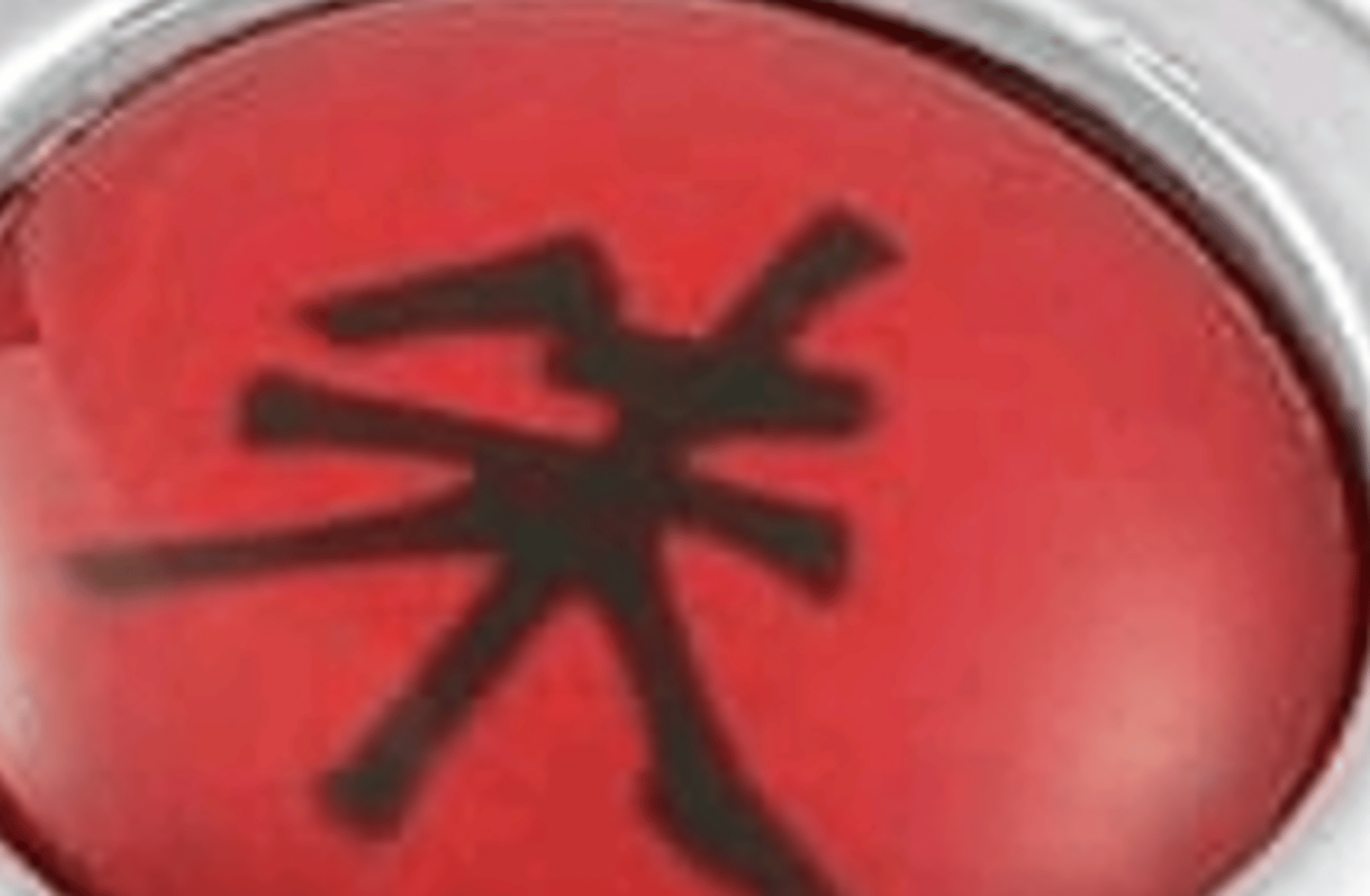 Shirotsuki-fukuro