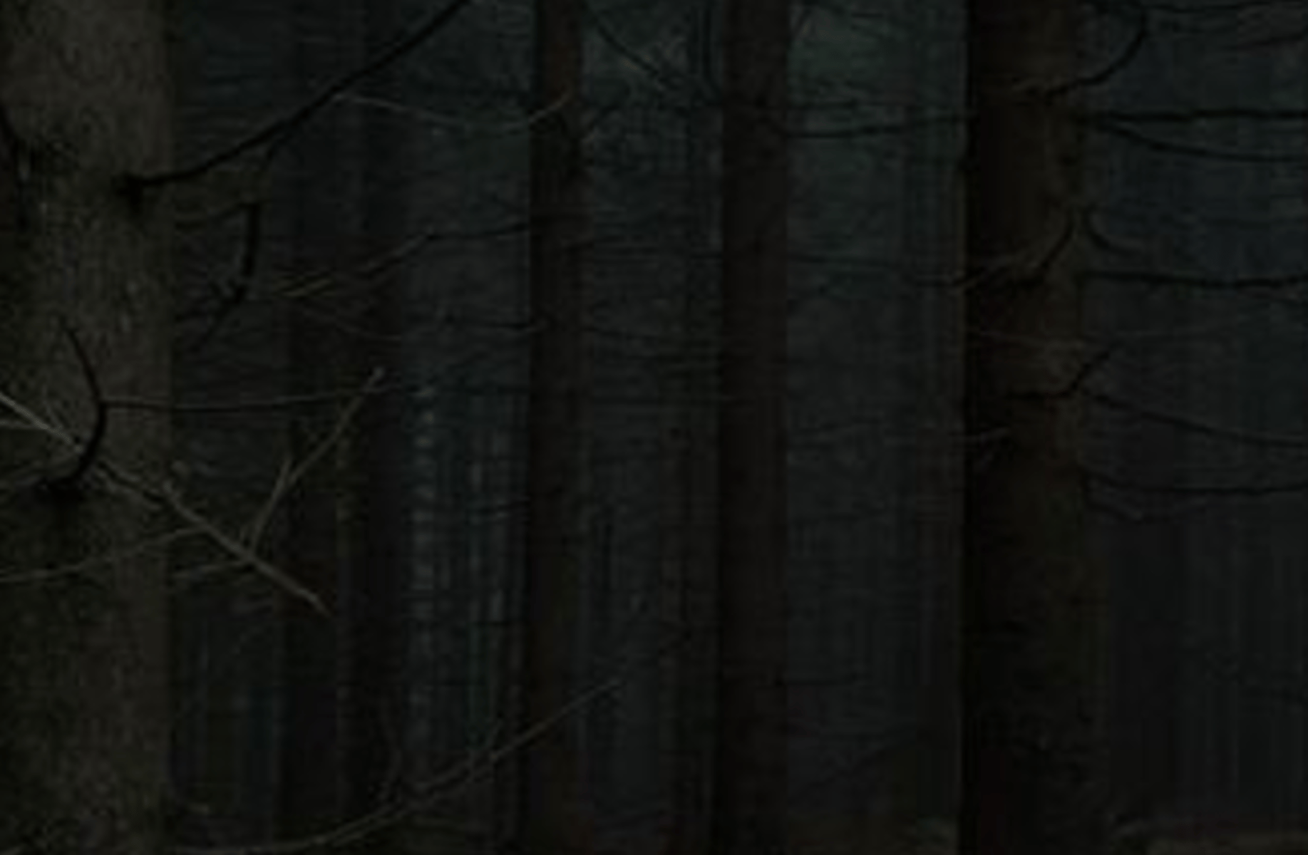 Woods-Vampire
