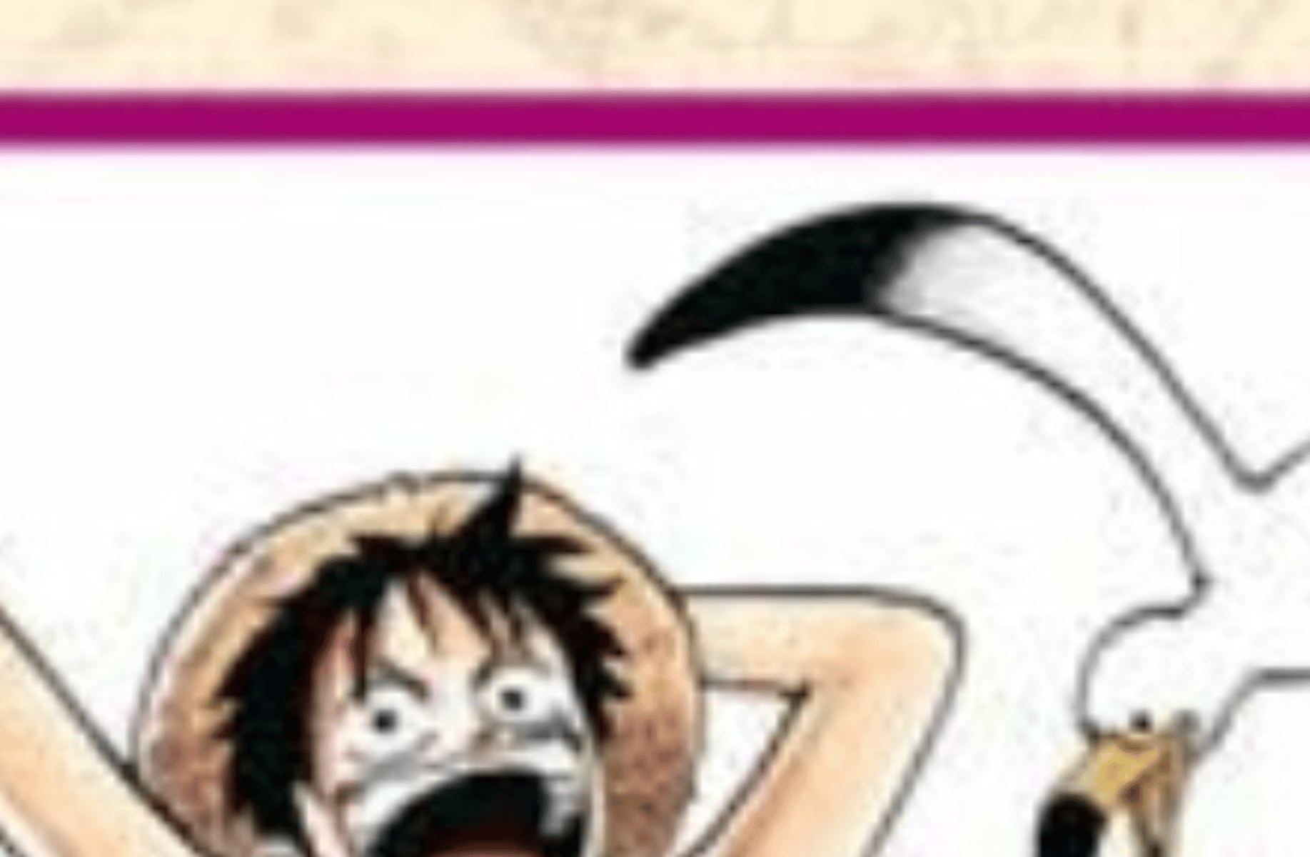 One piece Character make