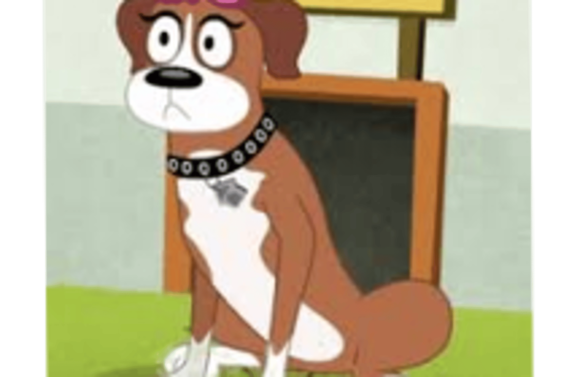 Cookie