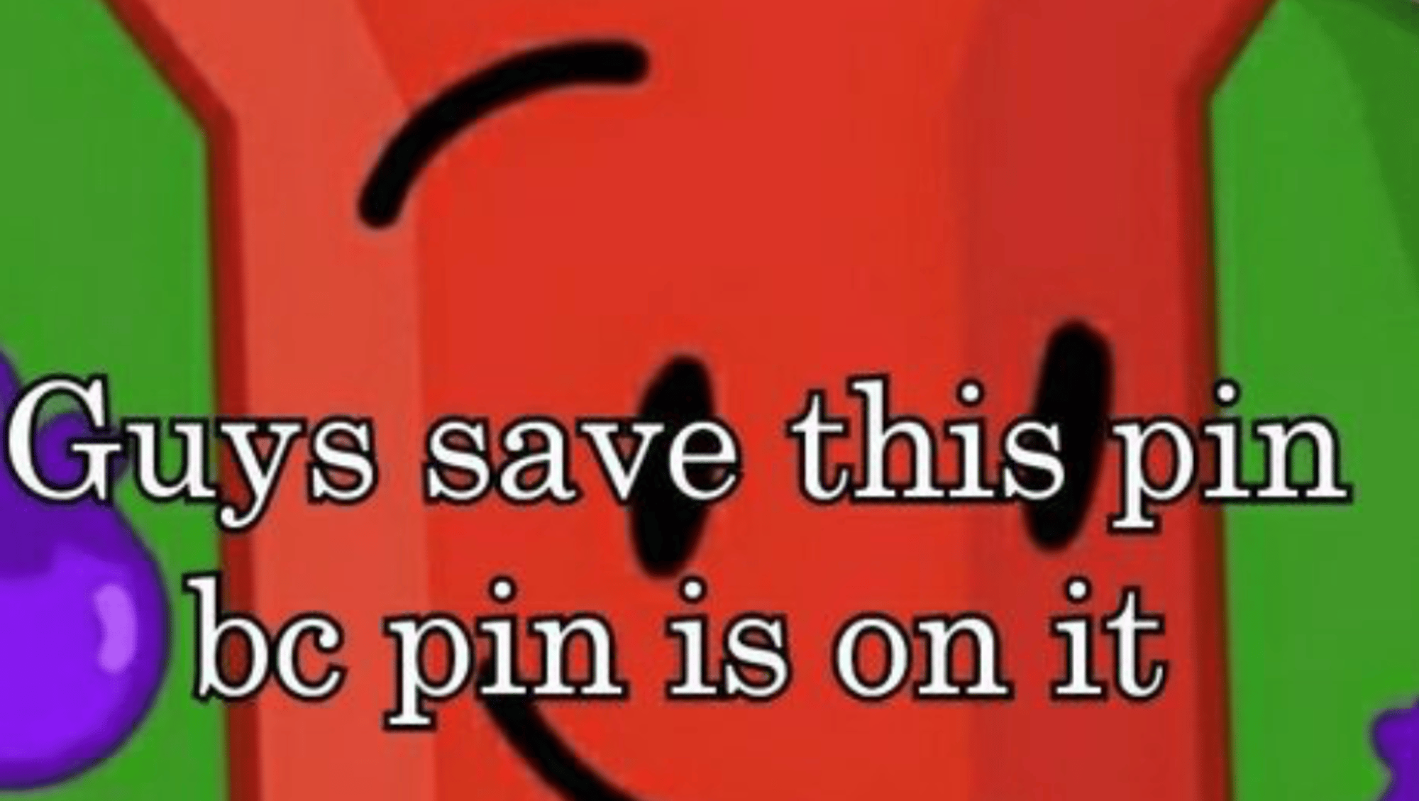Pin (Bfdi)