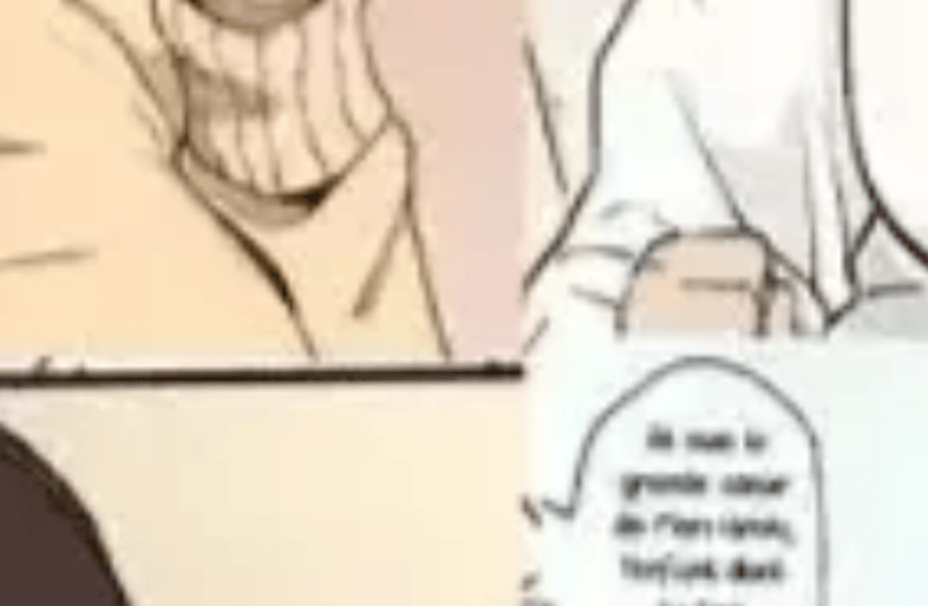 Kokujin no tenkousi ntr