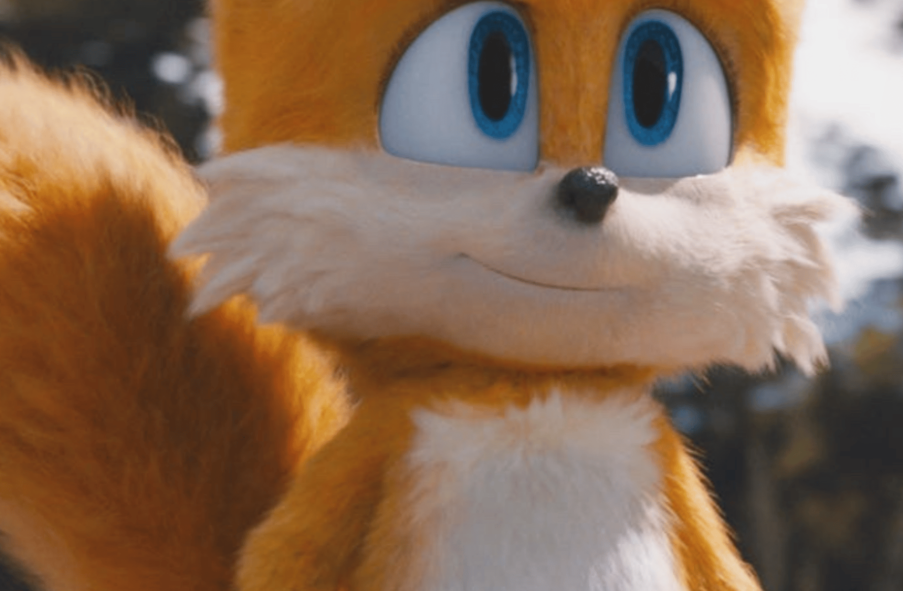 Fluffy Tails