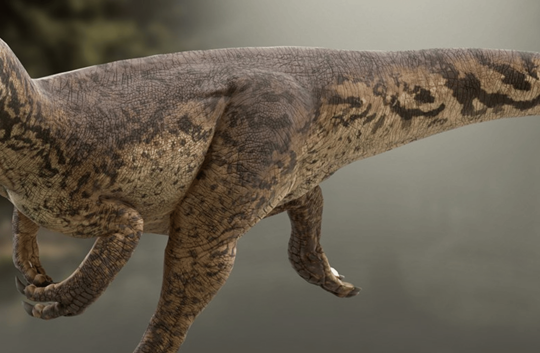 Allosaurus