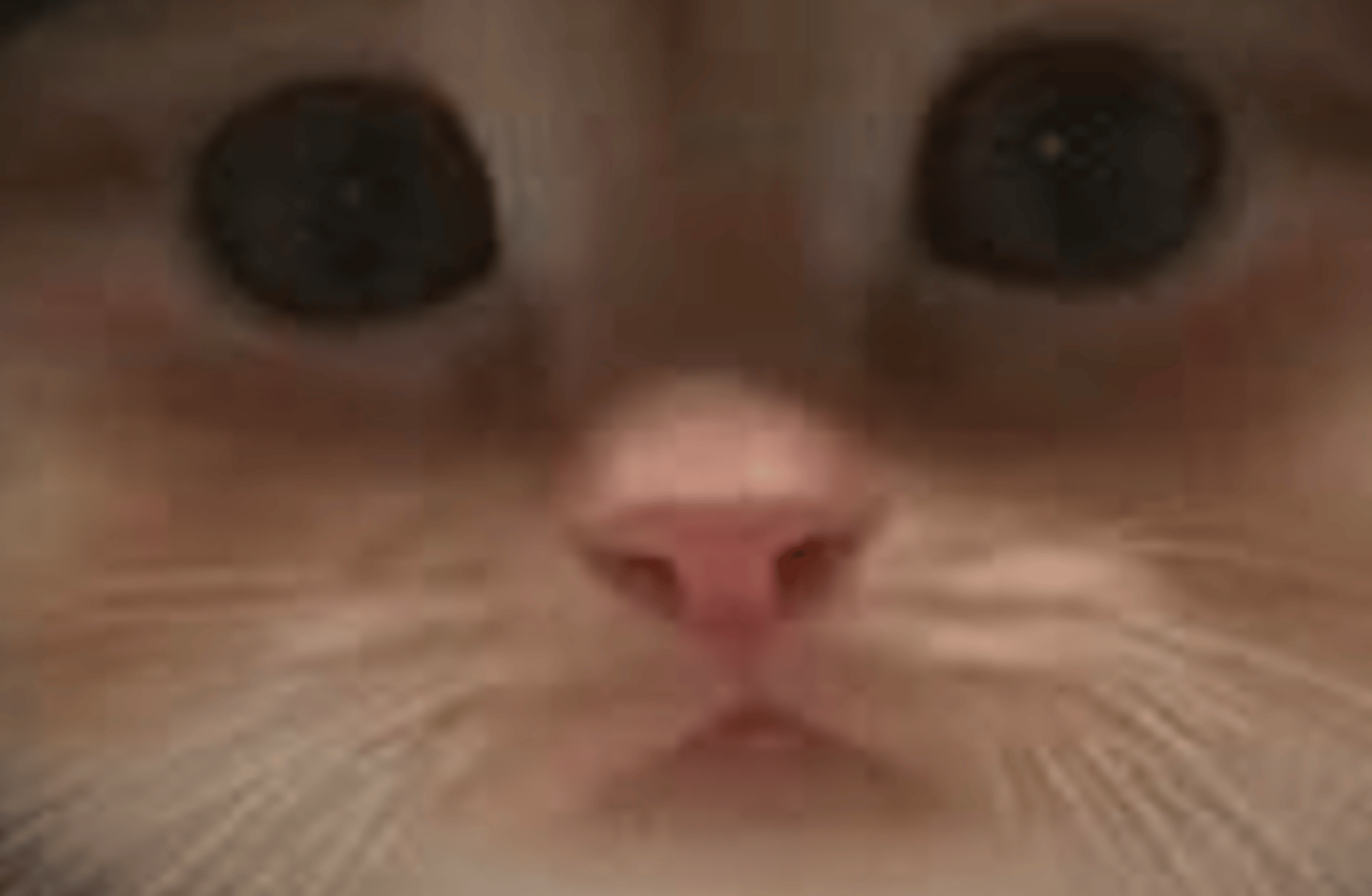 Saif