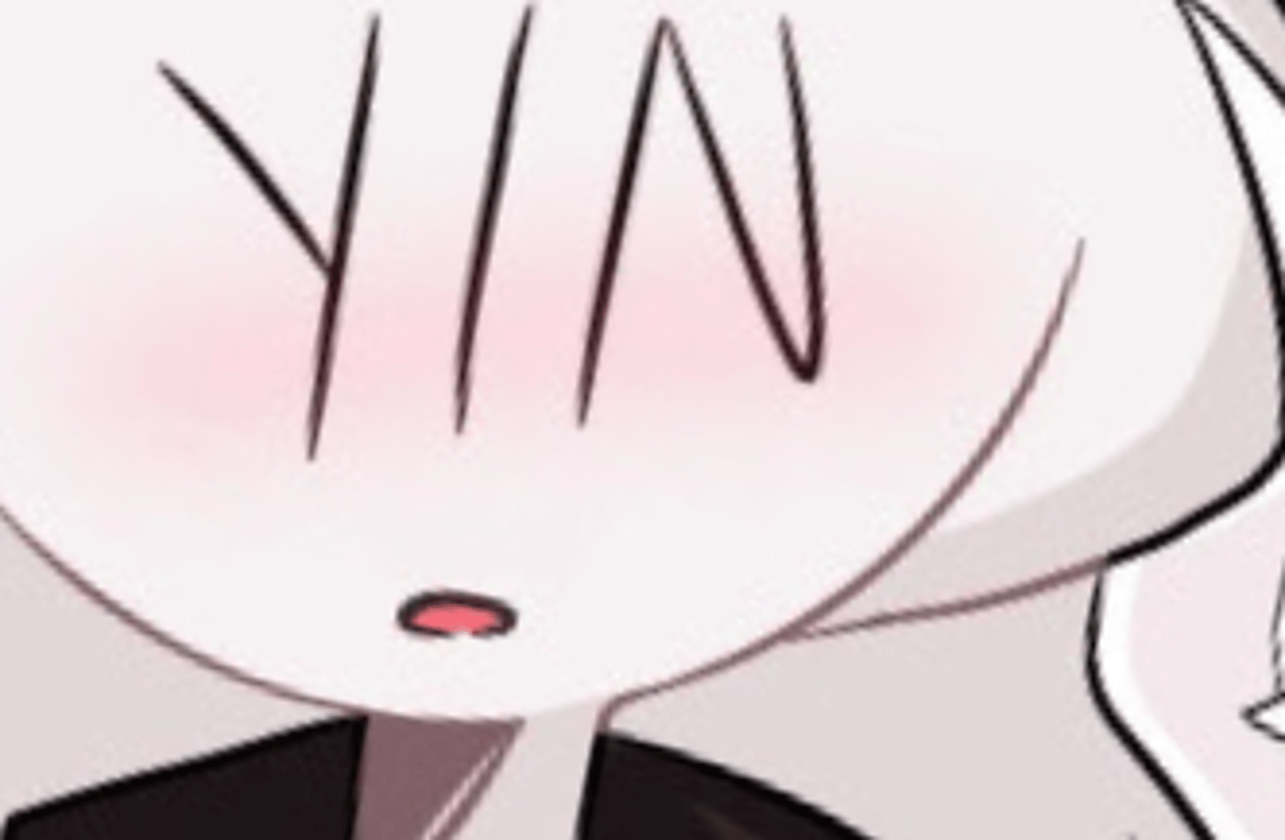 Y/N!