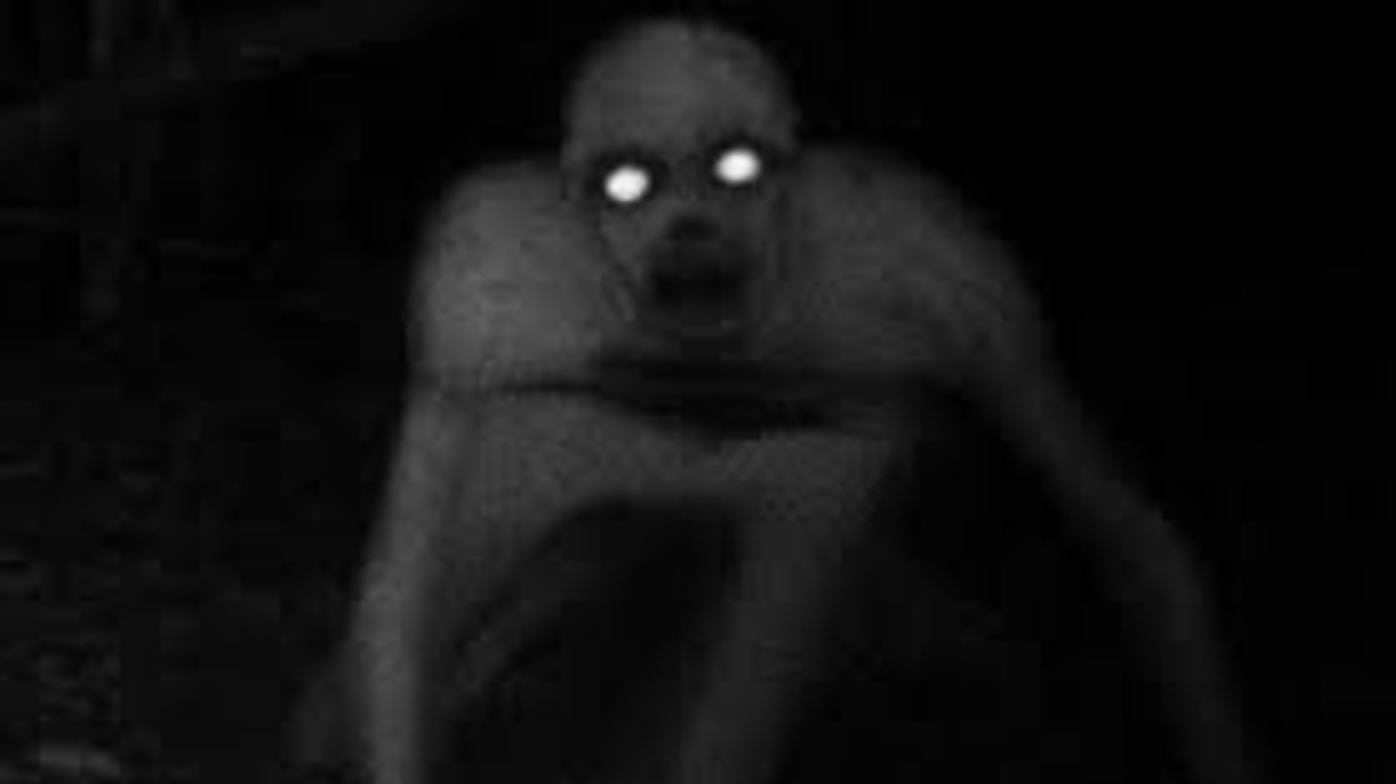 The Rake