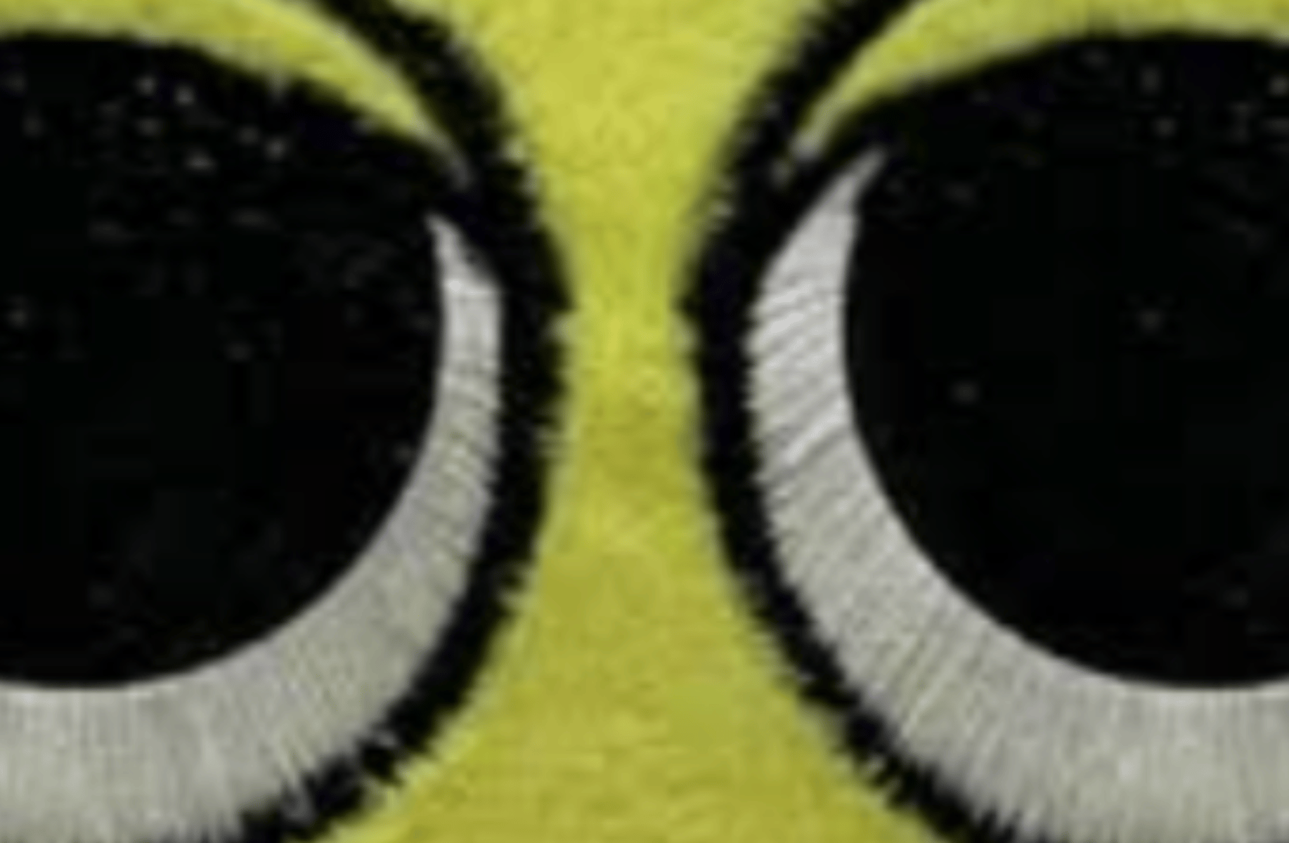 Simon