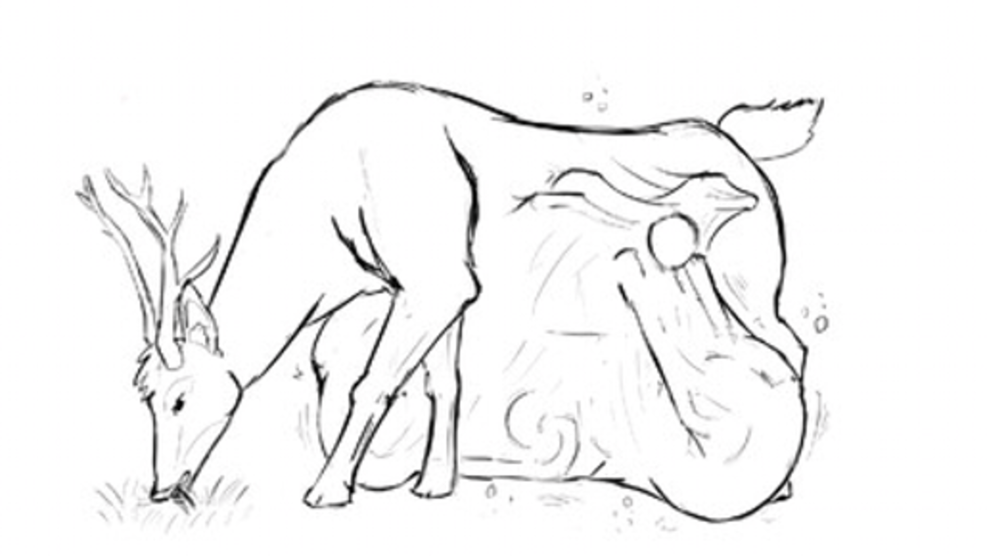 Deer vore