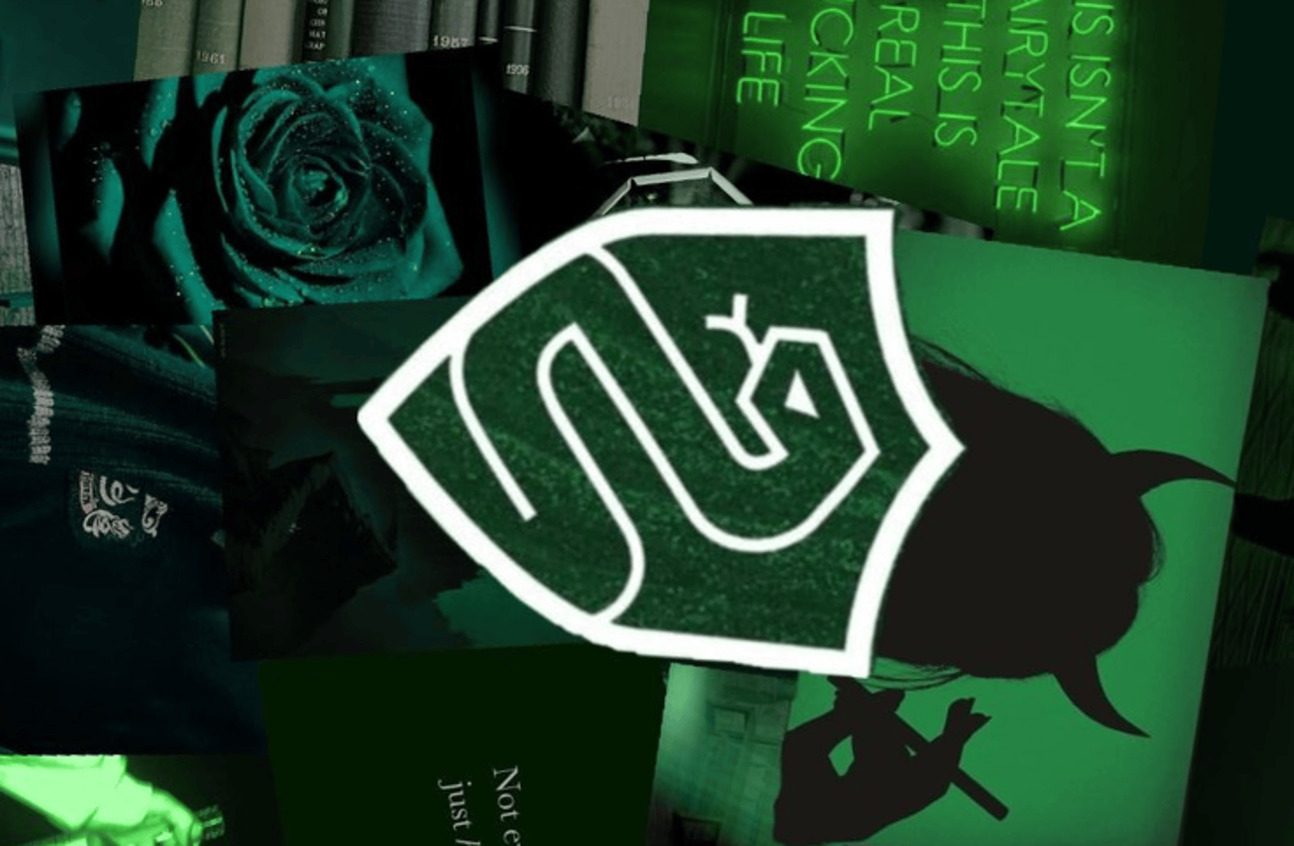 Slytherin group chat