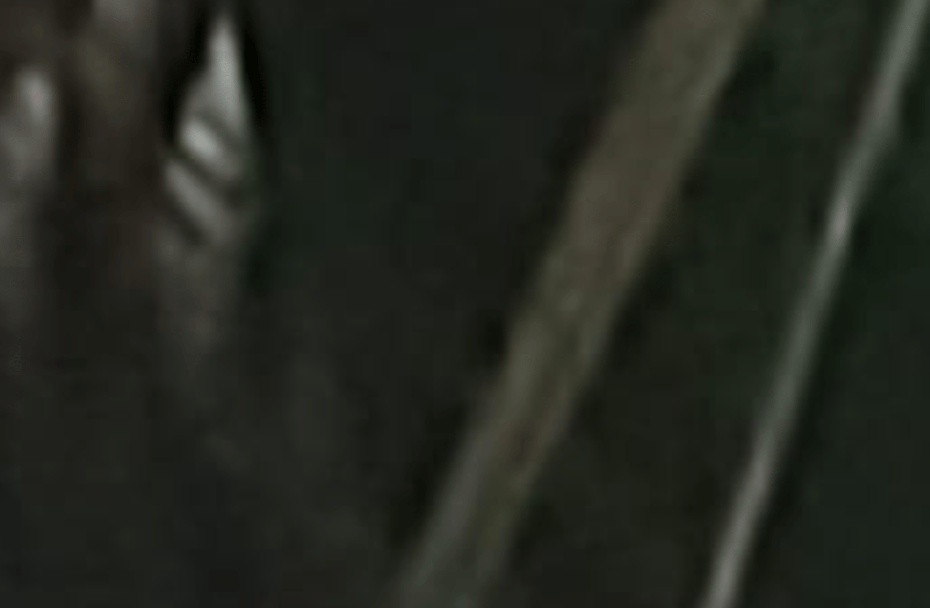 Joe Shmoe