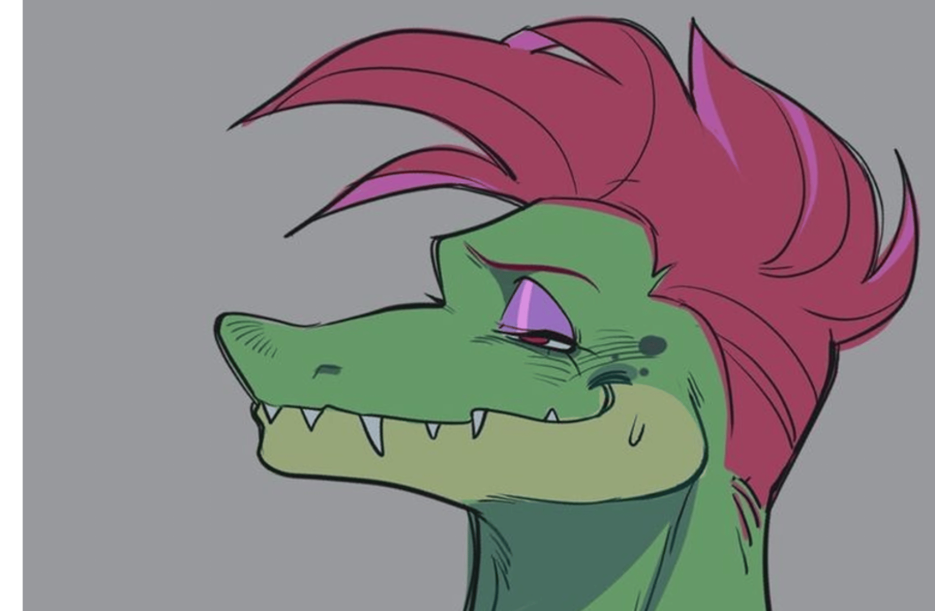 Montgomery Gator