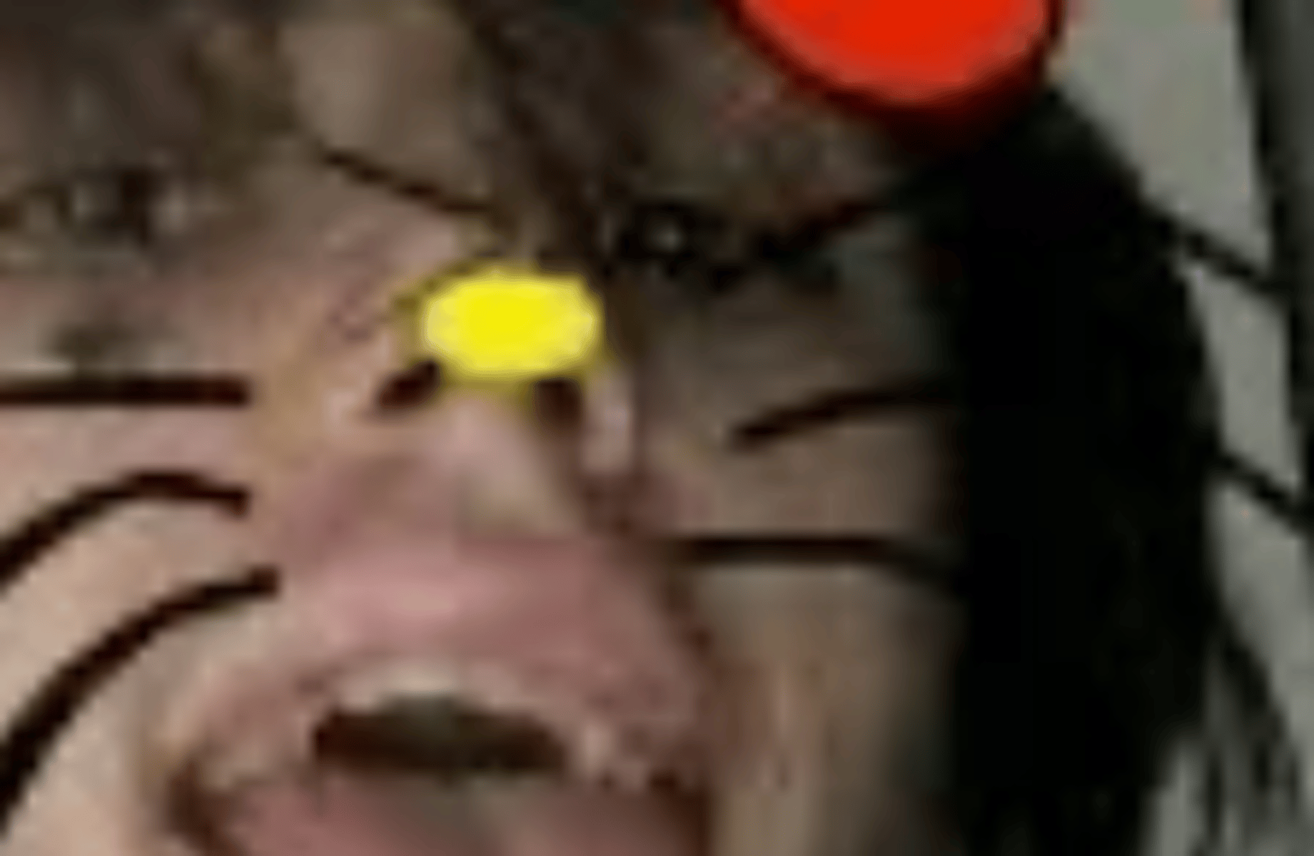 Simon ghost riley