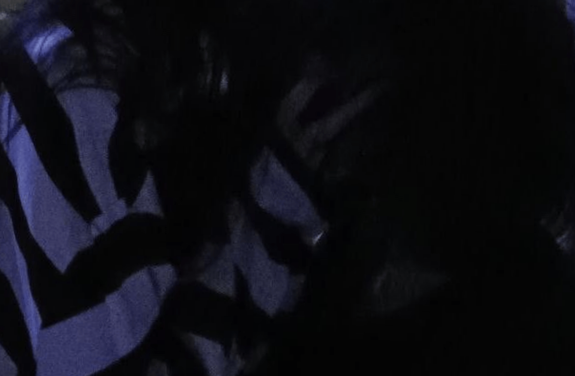 Zan