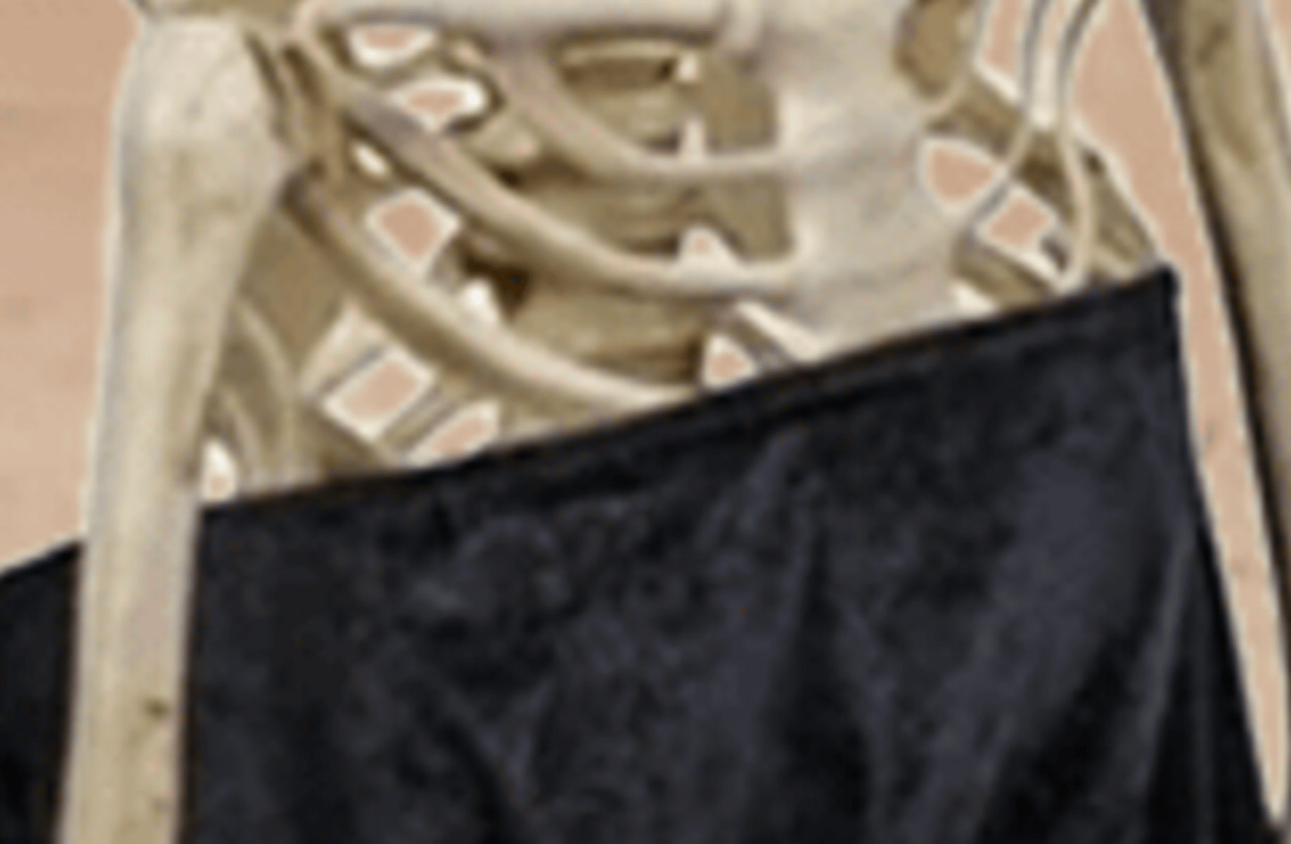 Skeleton