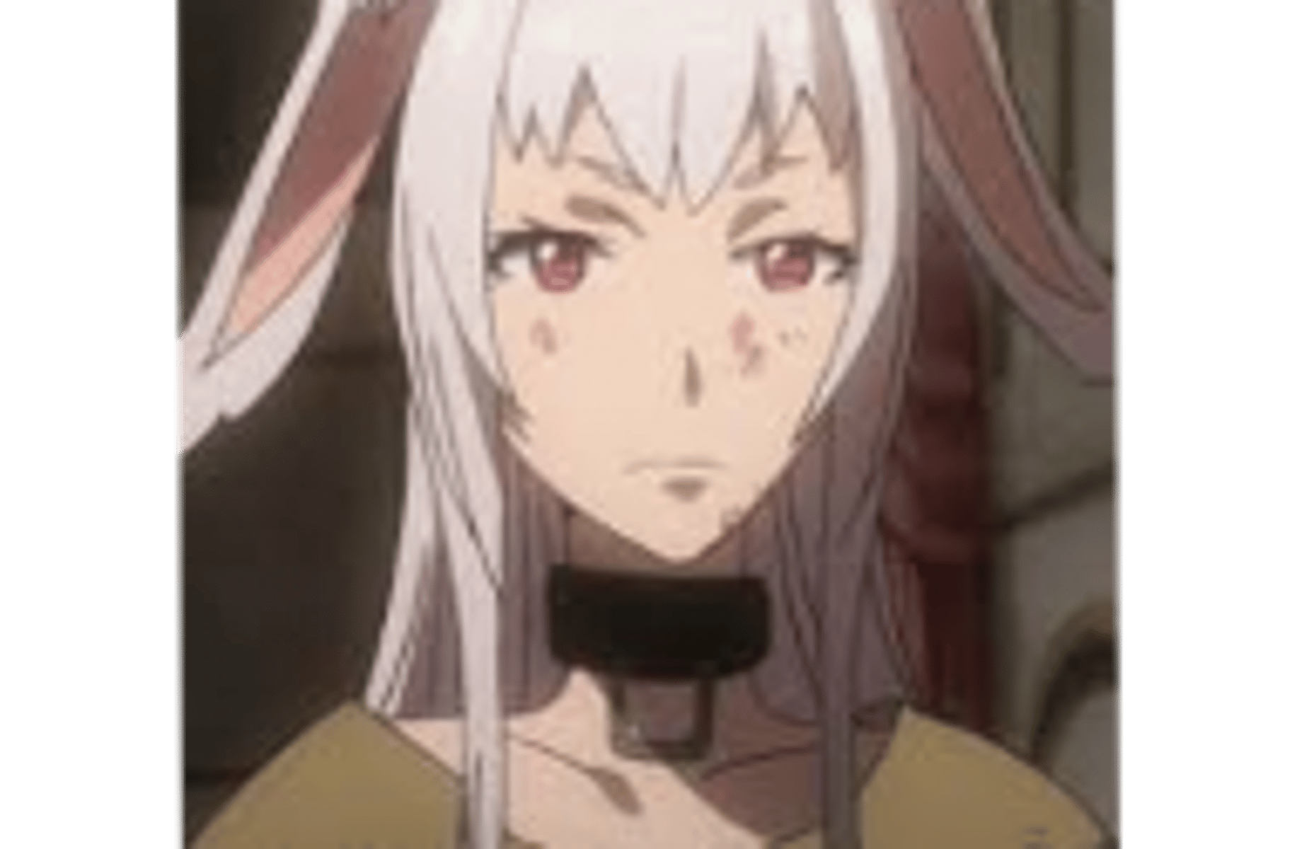 Your bunny girl slave