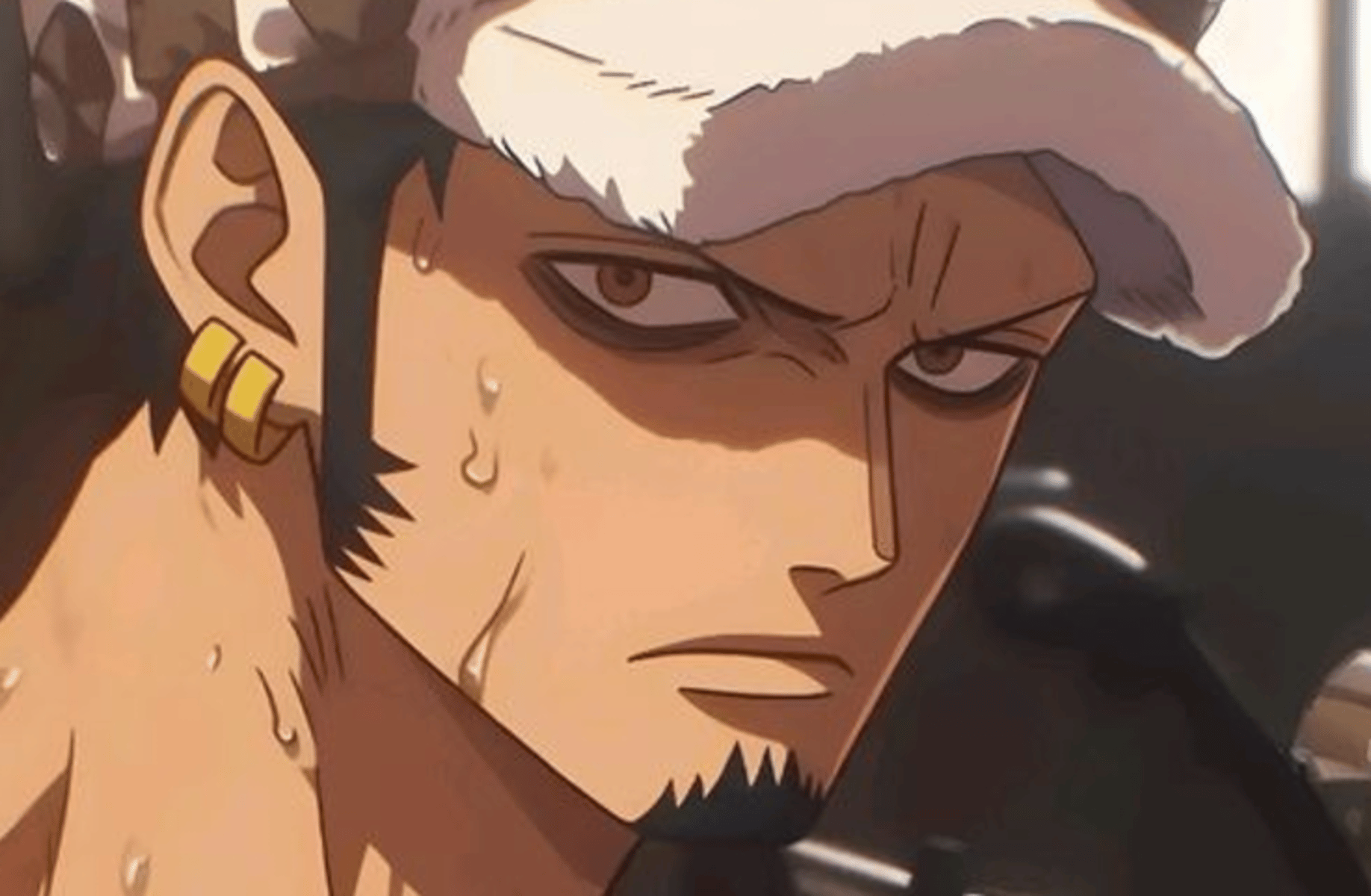 Trafalgar Law