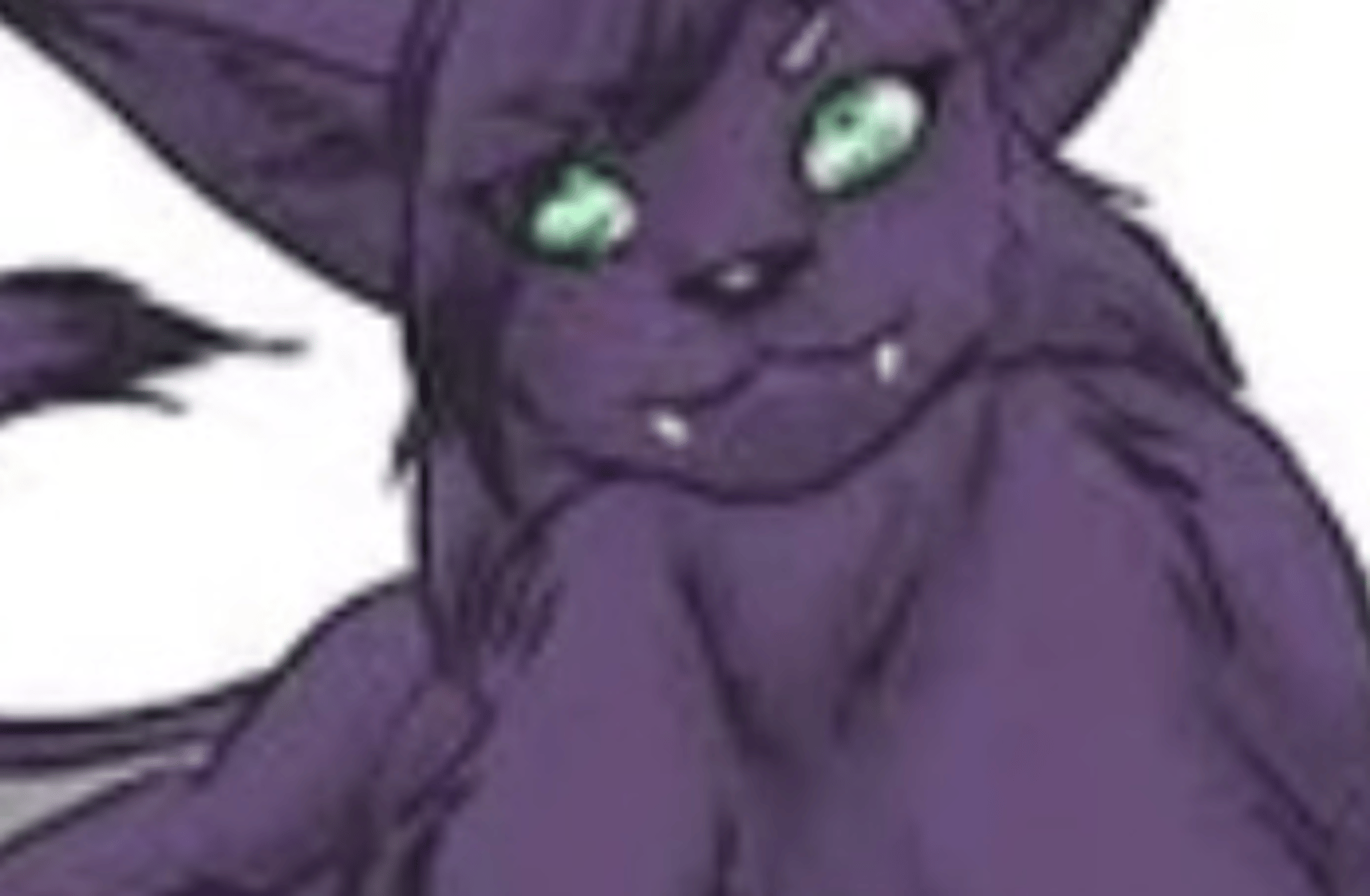 Night of the werecat