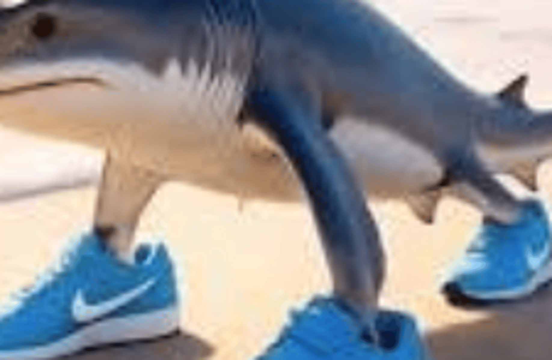 TRALALERO TRALALA
