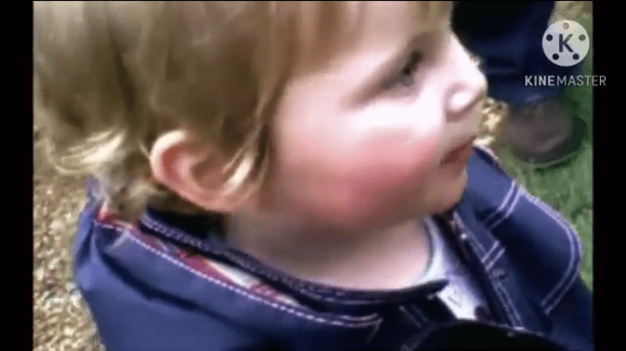 Boy