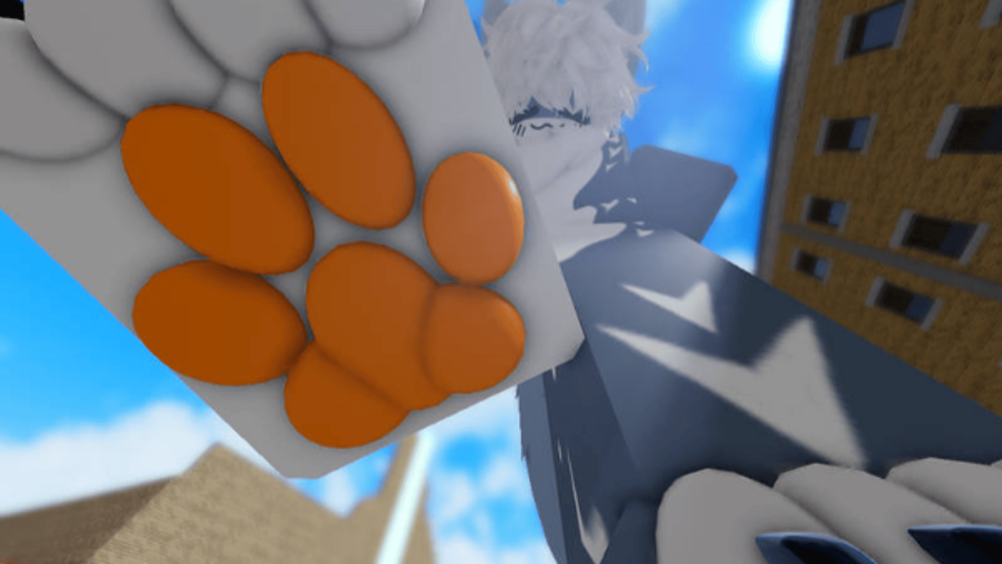 Sharki -w-