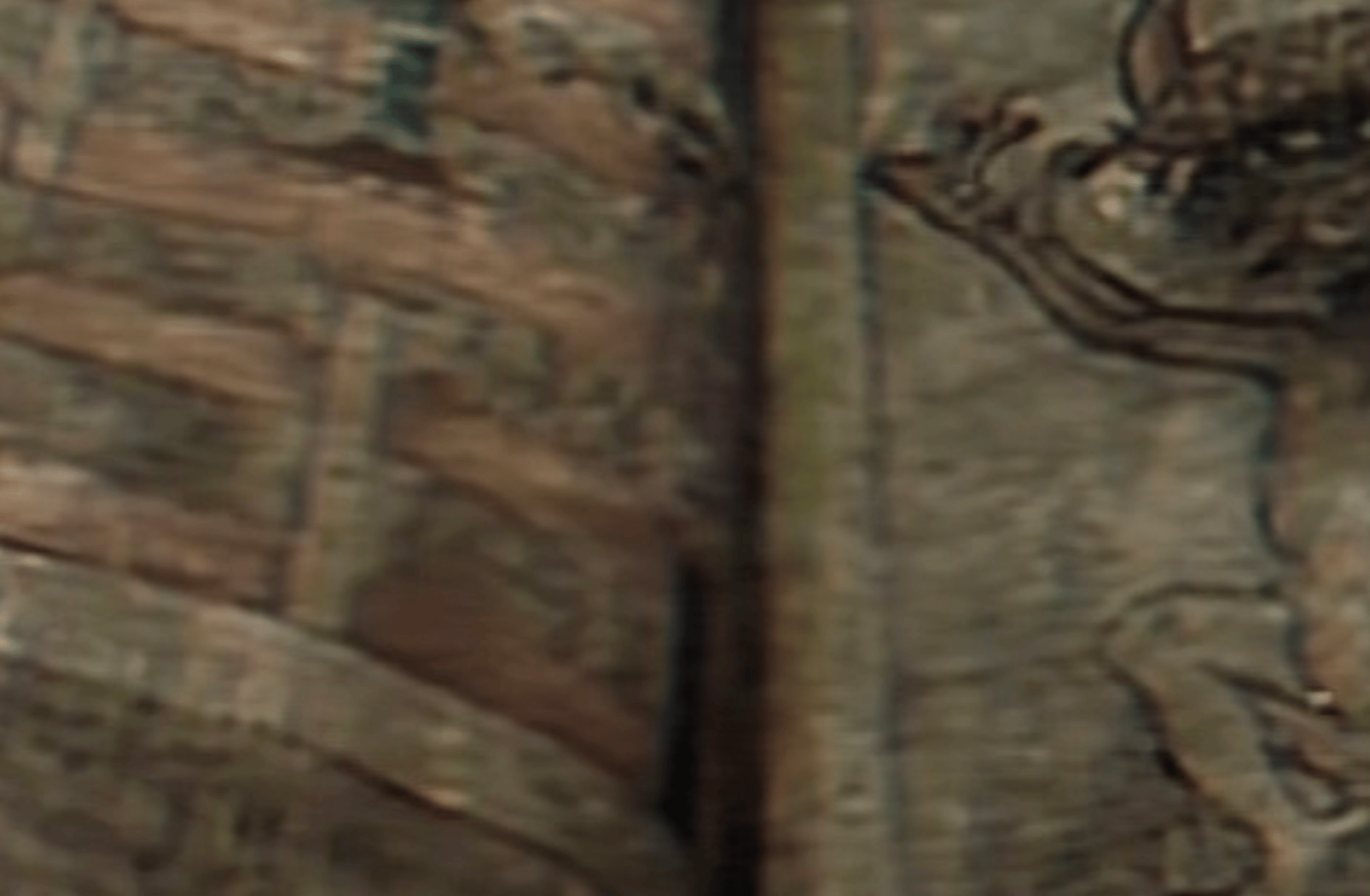 CODEX GIGAS