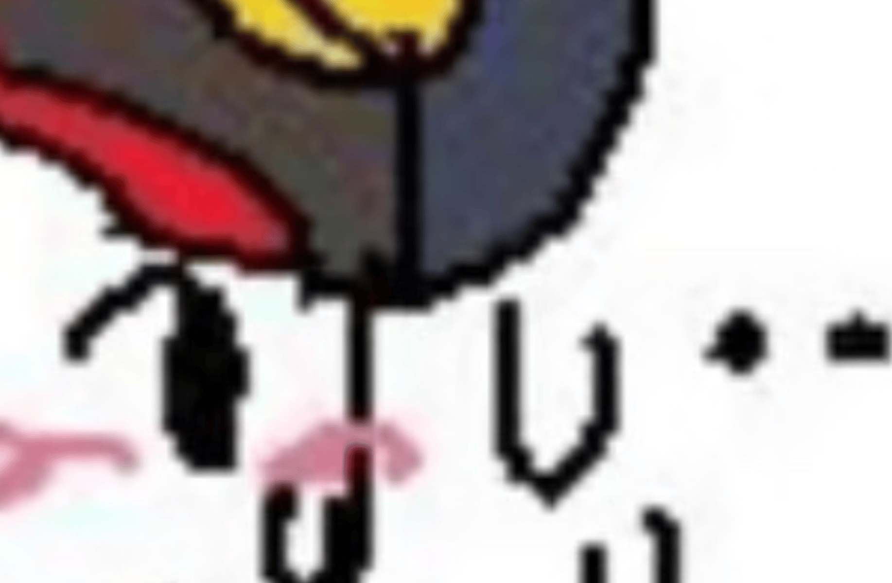 Neko guest