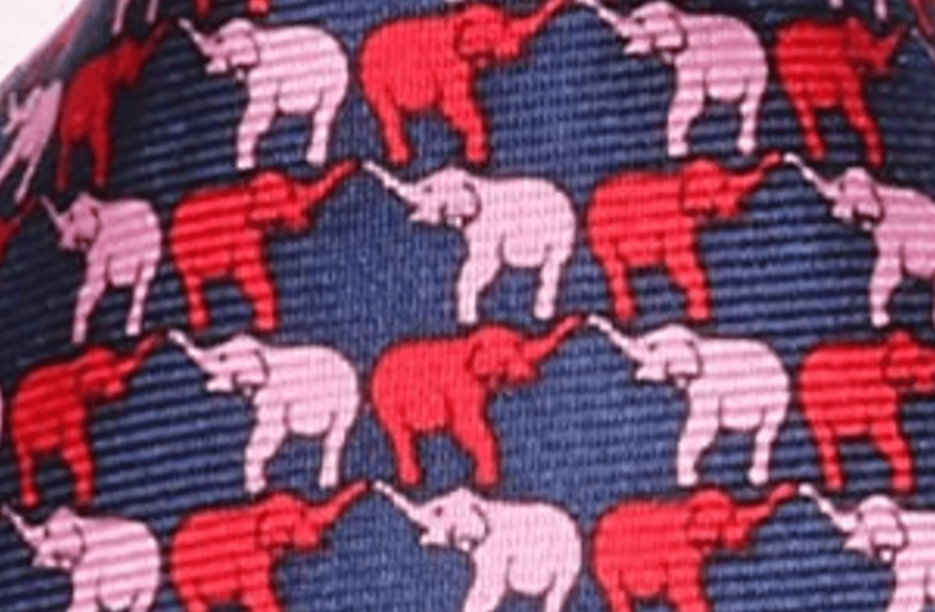 necktie