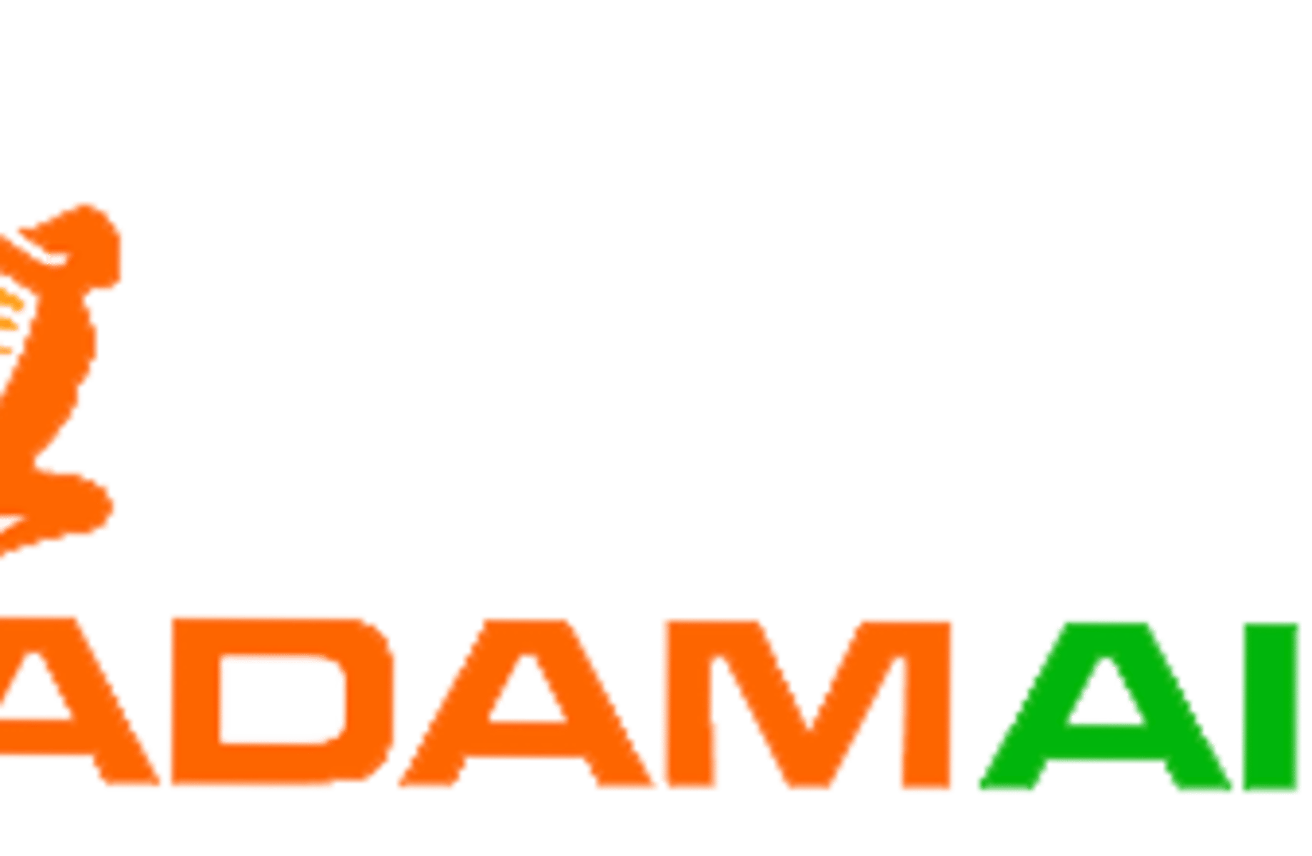 Adam air