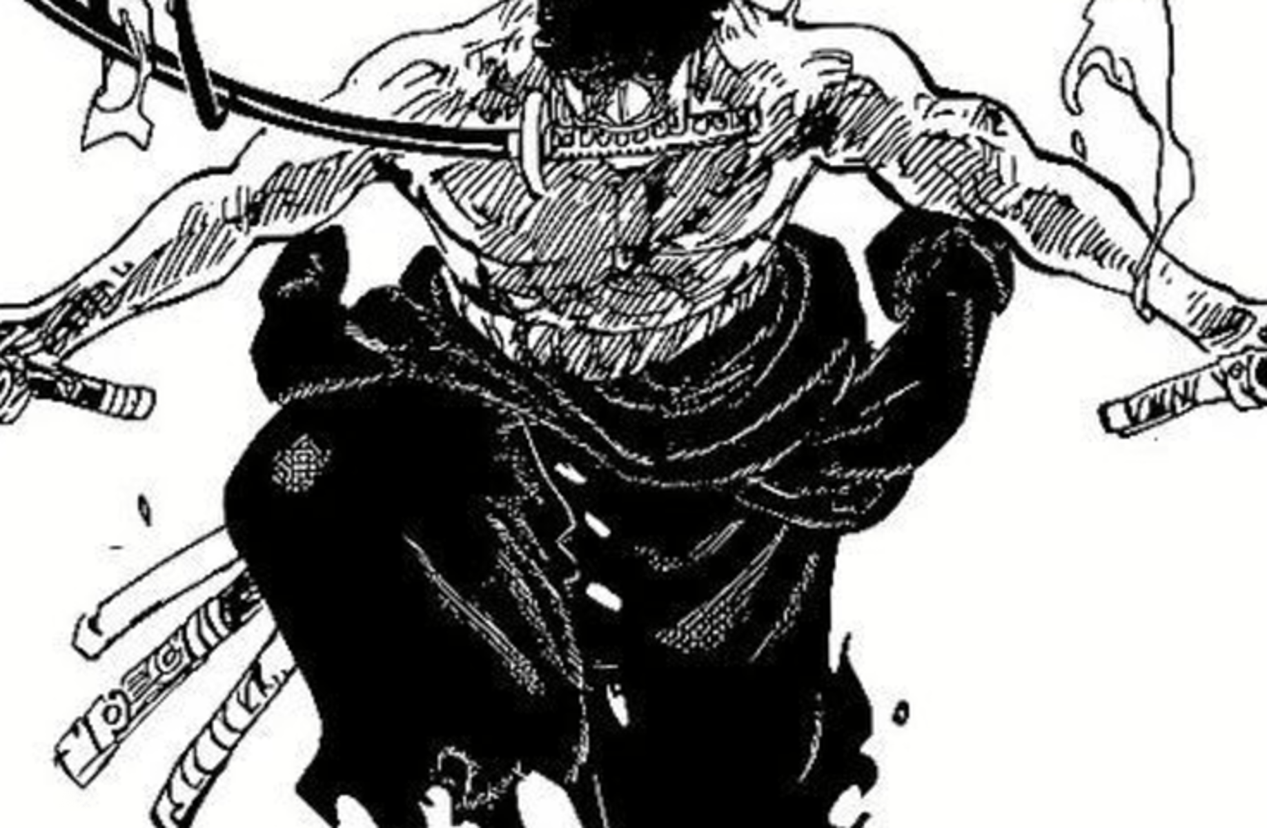 Roronoa Zoro