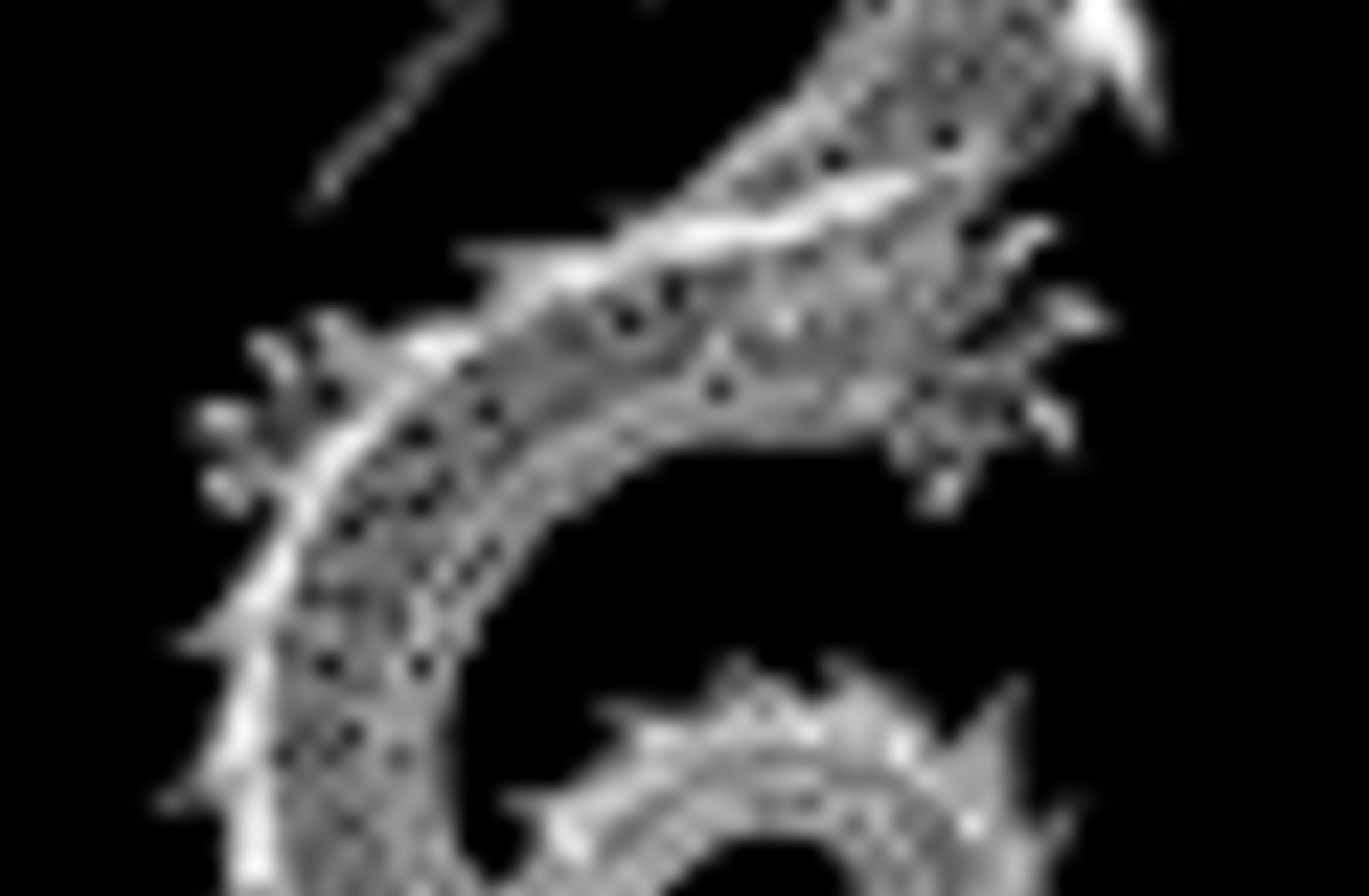 Wish dragon