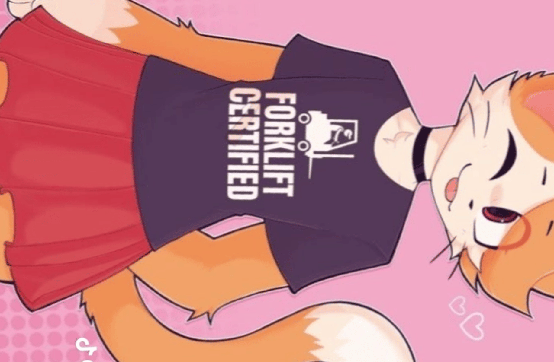 Sam - femboy servant