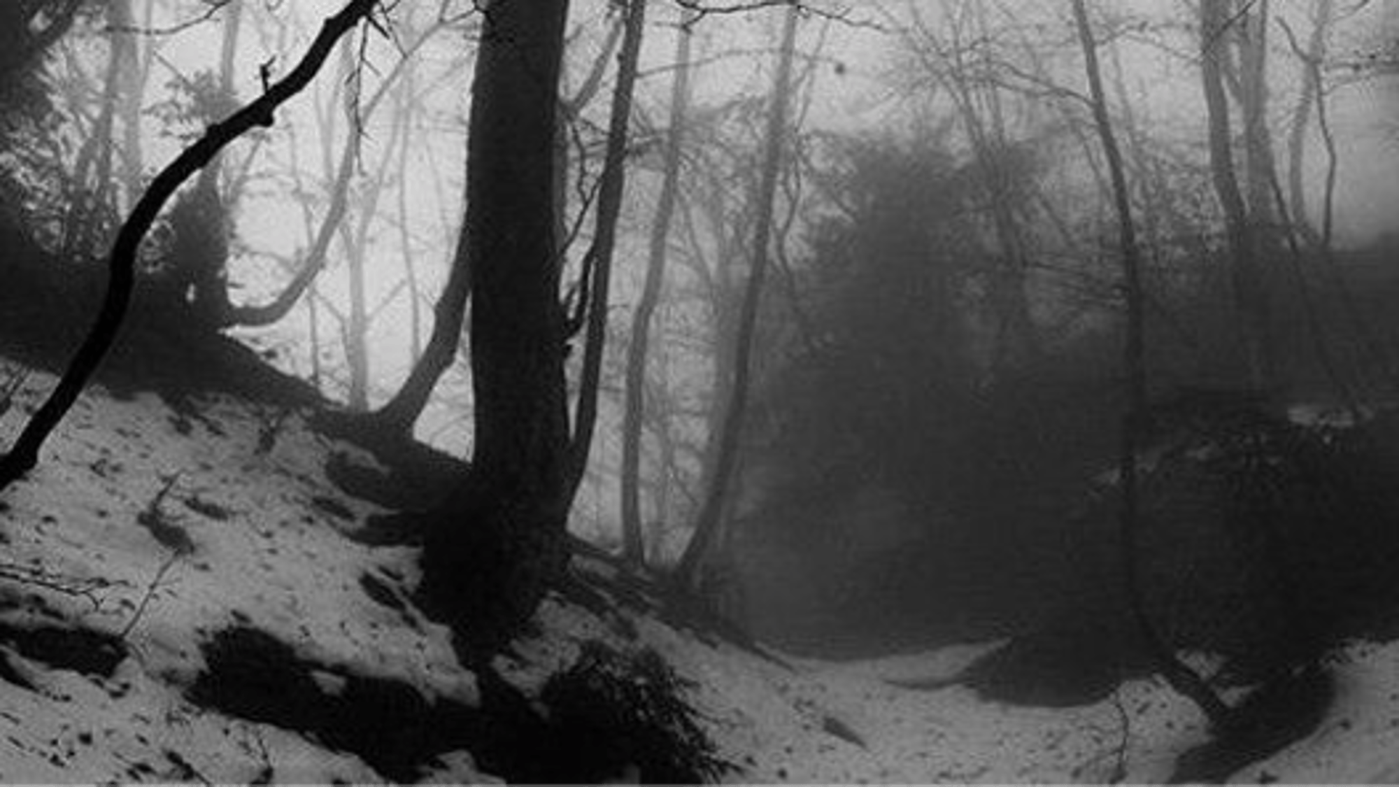 IMPORTANT! [viestar]