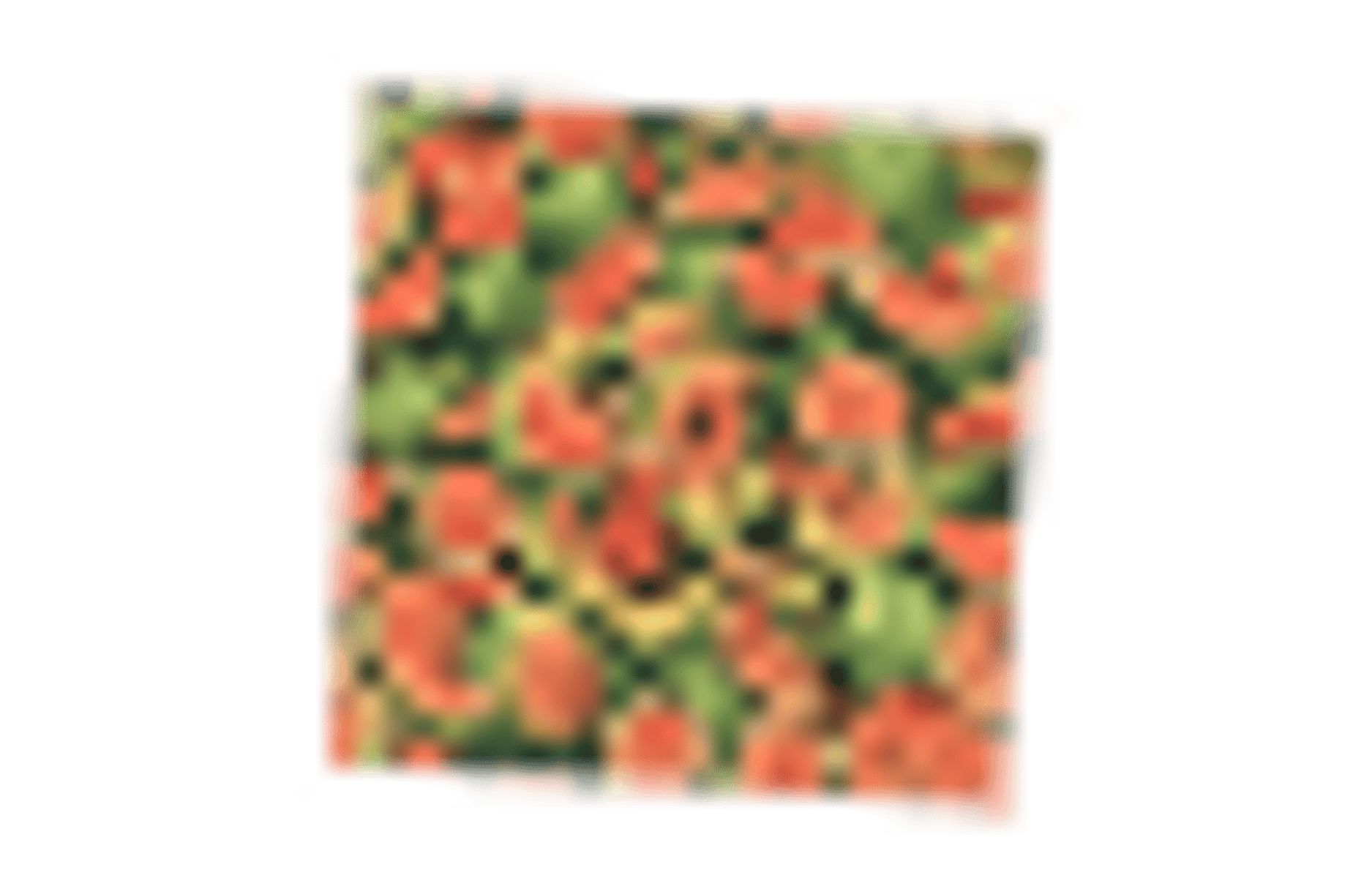Melon sandbox melon