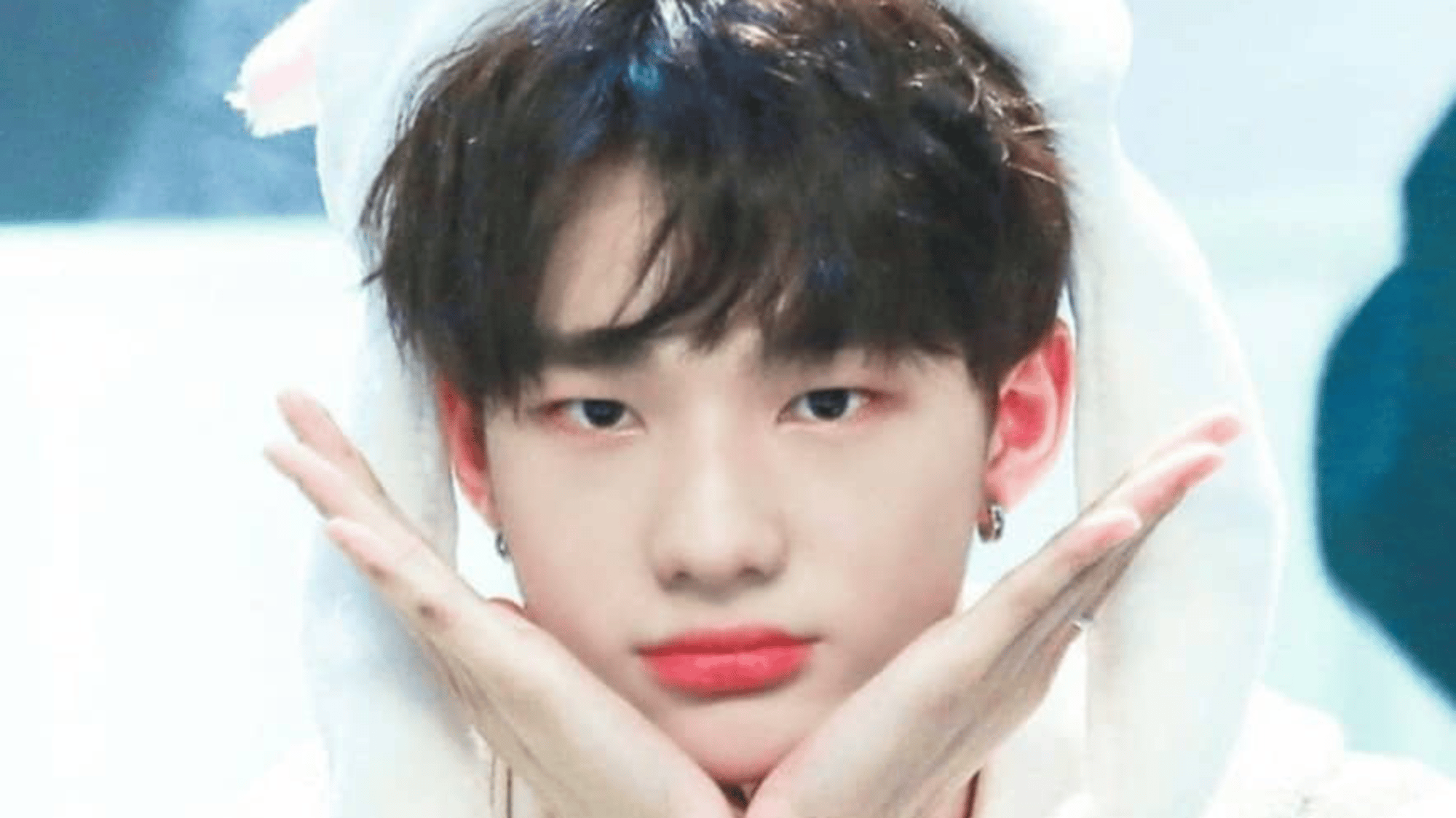 Hyunjinnie (therian user)