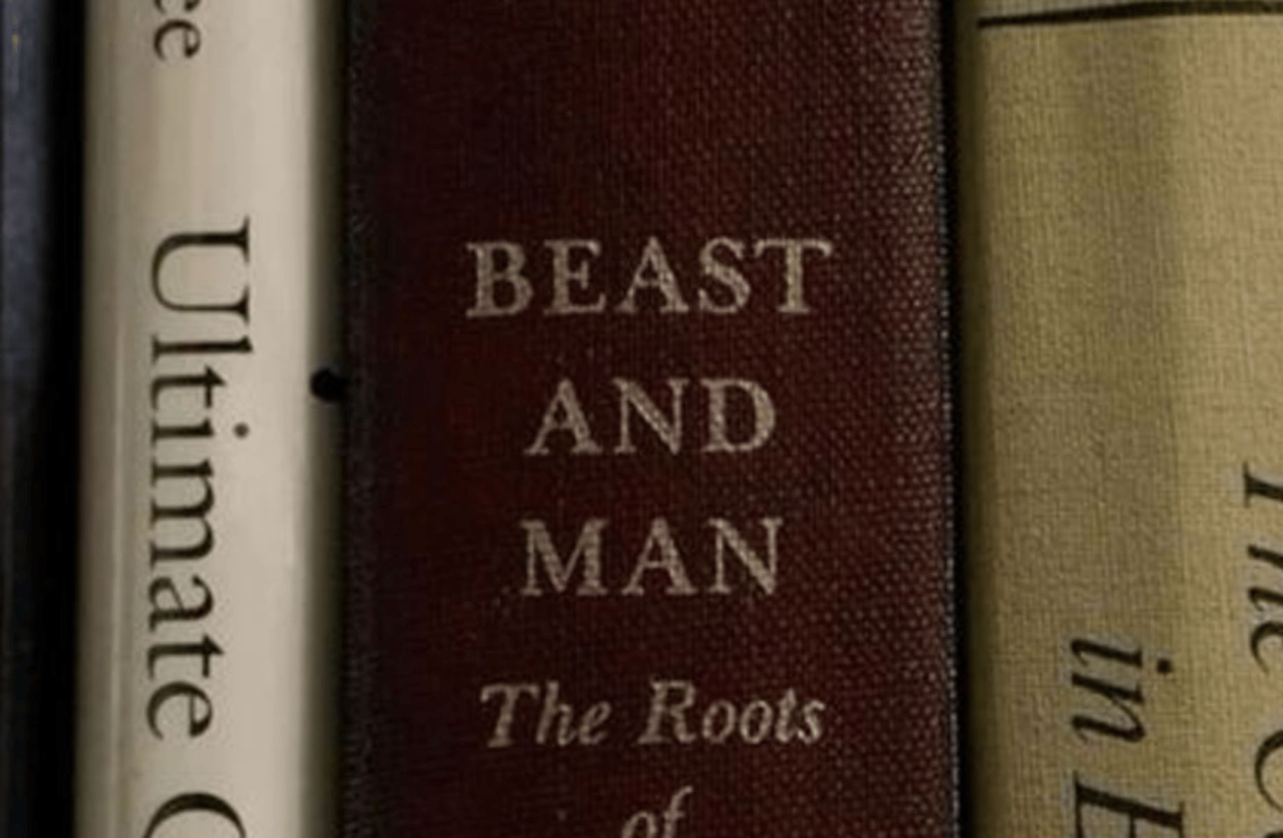 Spencer Reid