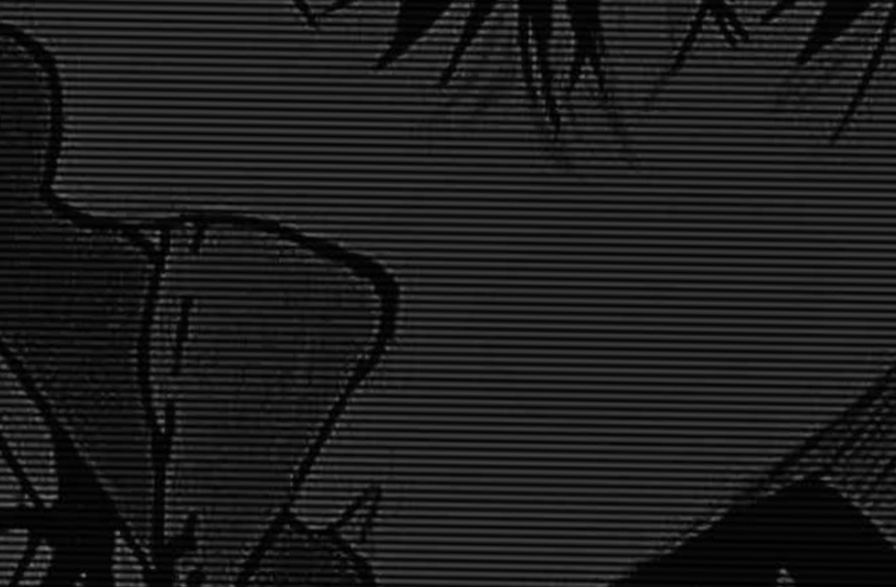 Mha Asylum