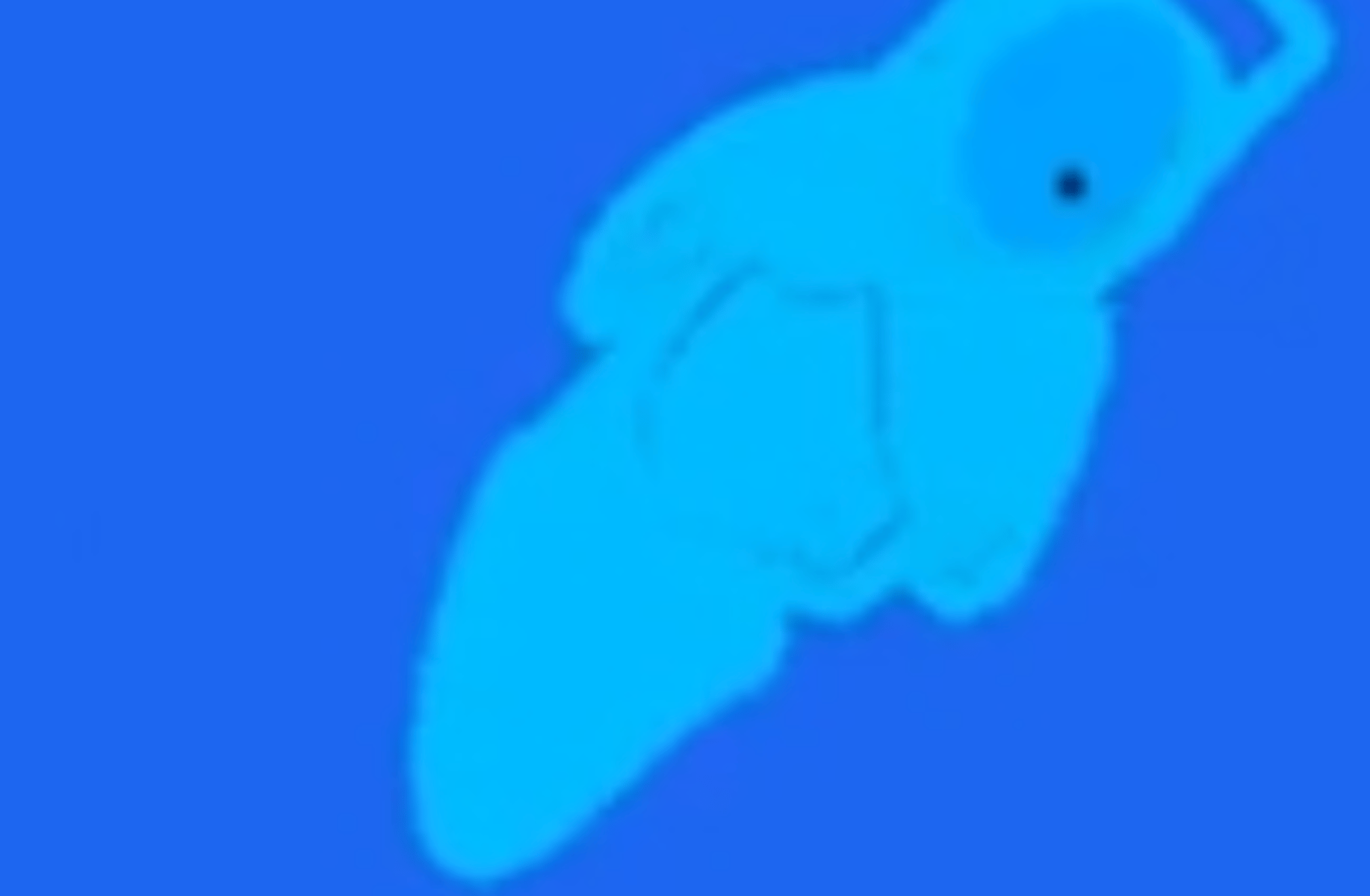 Ghost Cubermen Dulik show