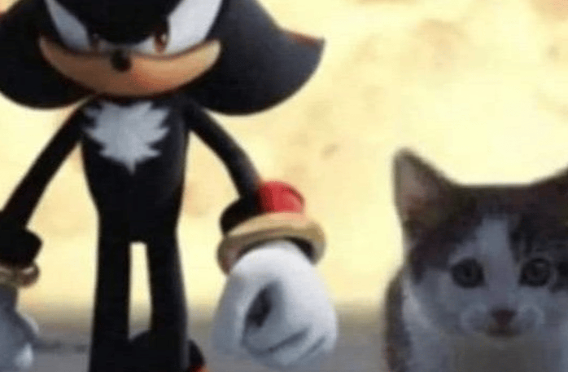 schbobble