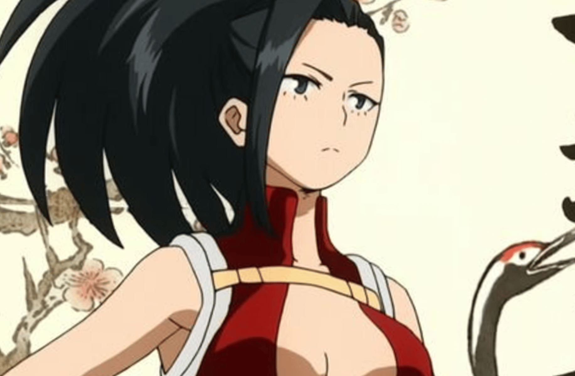 Momo yayaorozu
