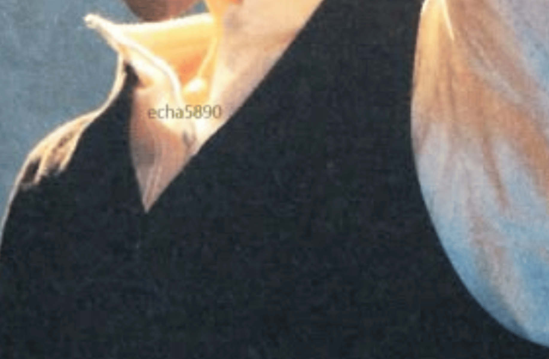 Cha Eunwoo