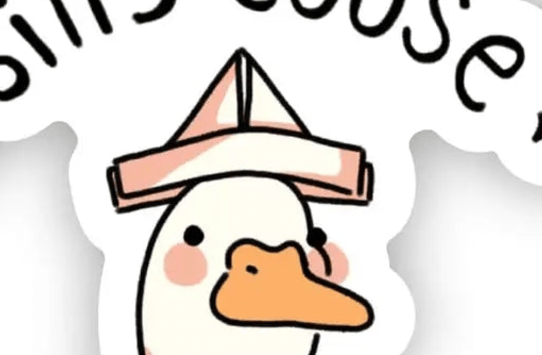 Silly goose