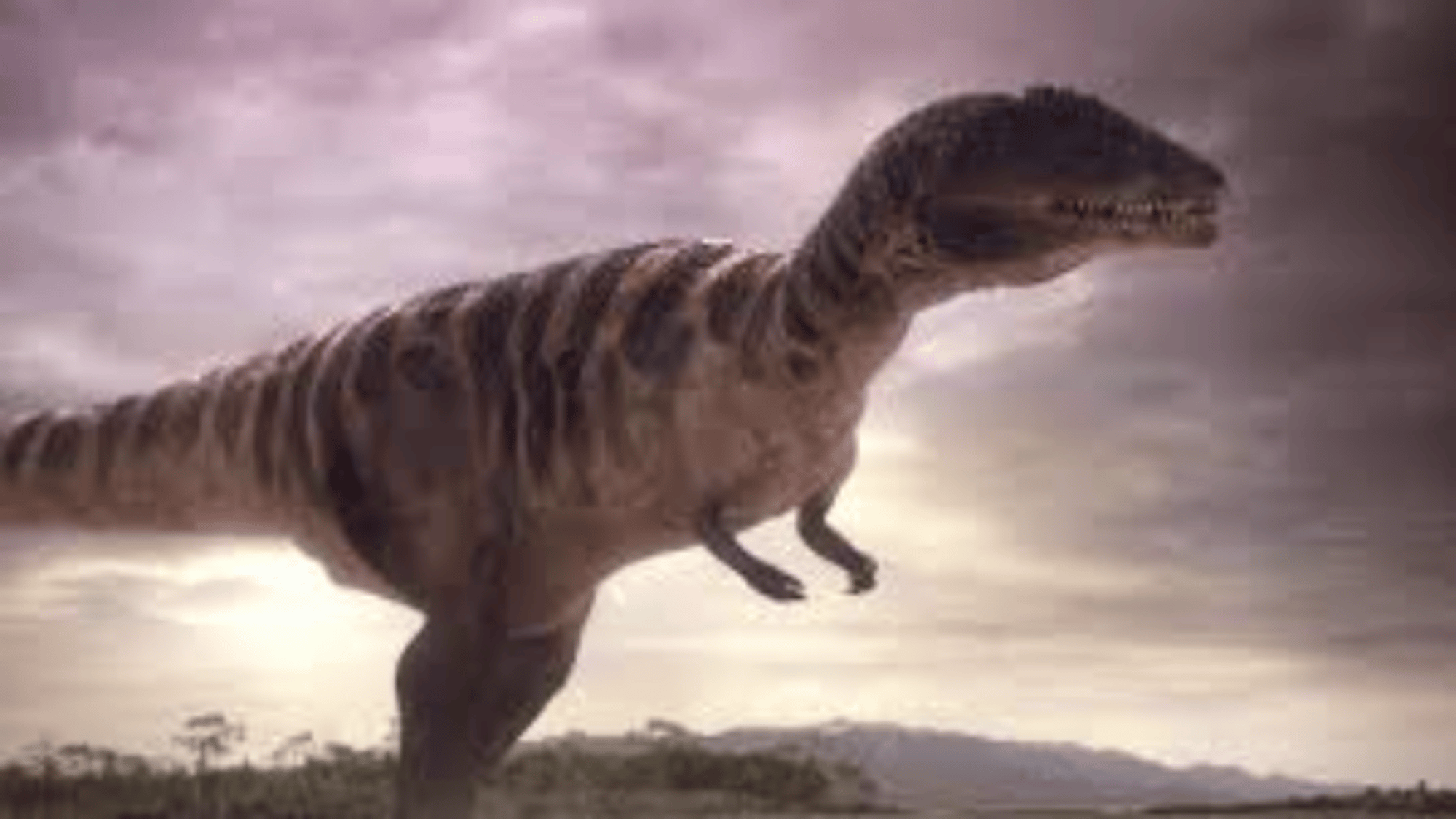 Carcharodontosaurus