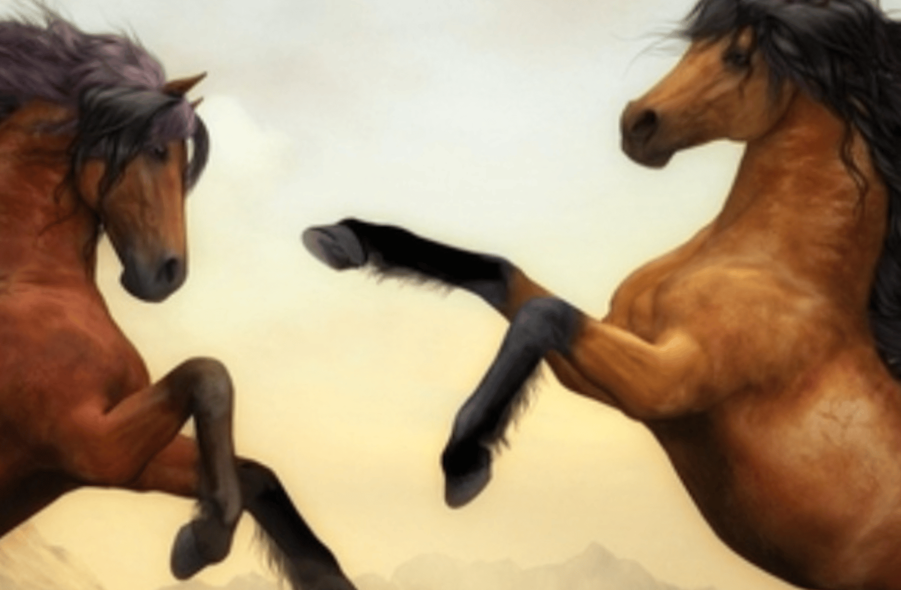 Horse simulator