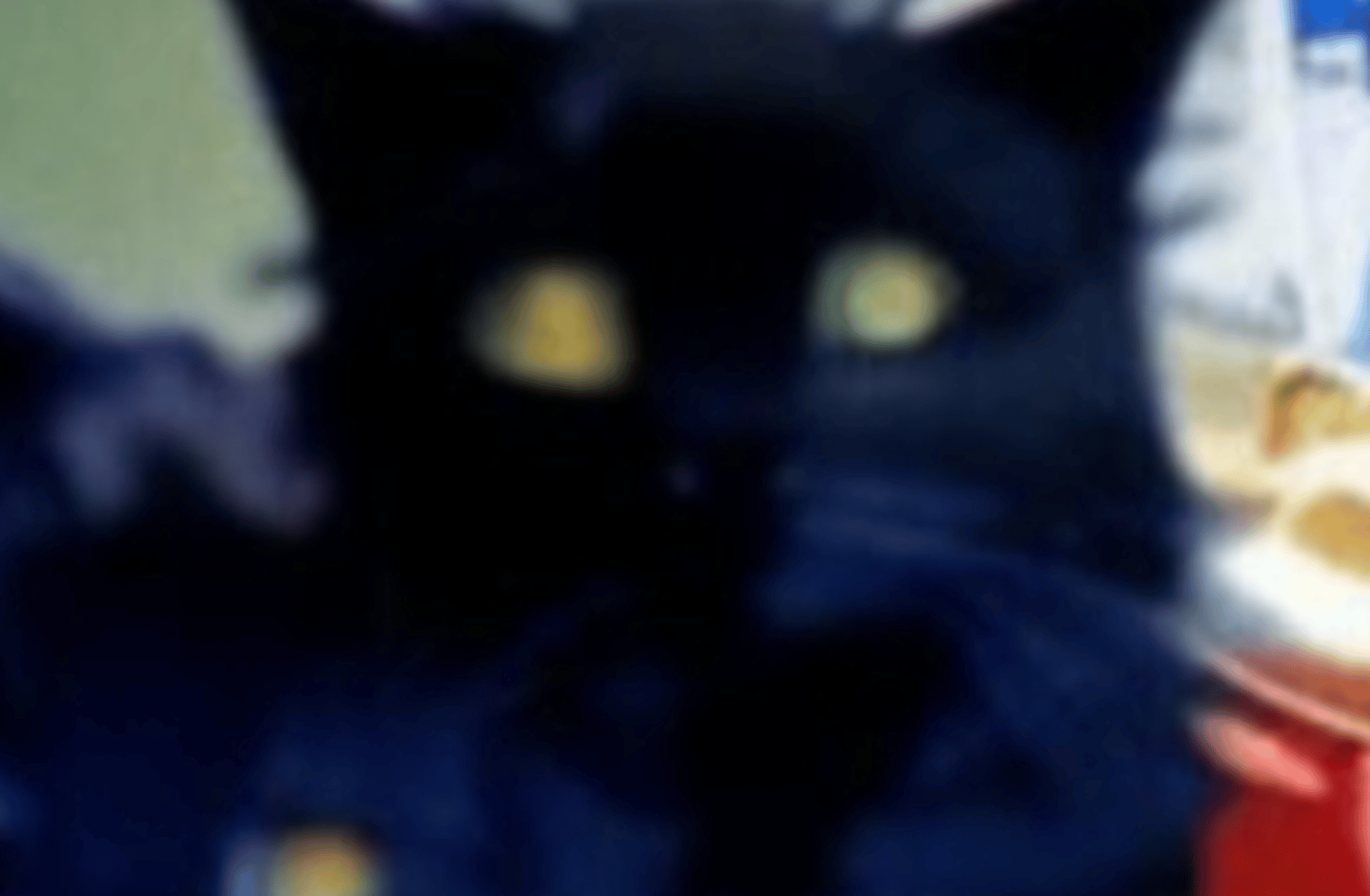 Francie (cat girl)